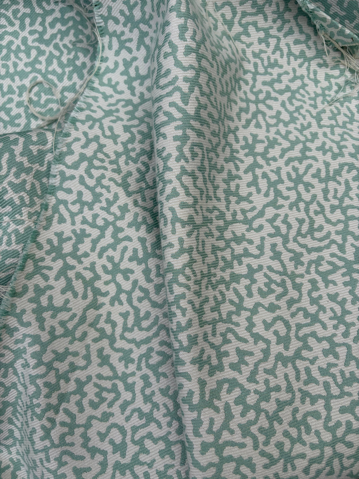 COLEFAX APOLLINE