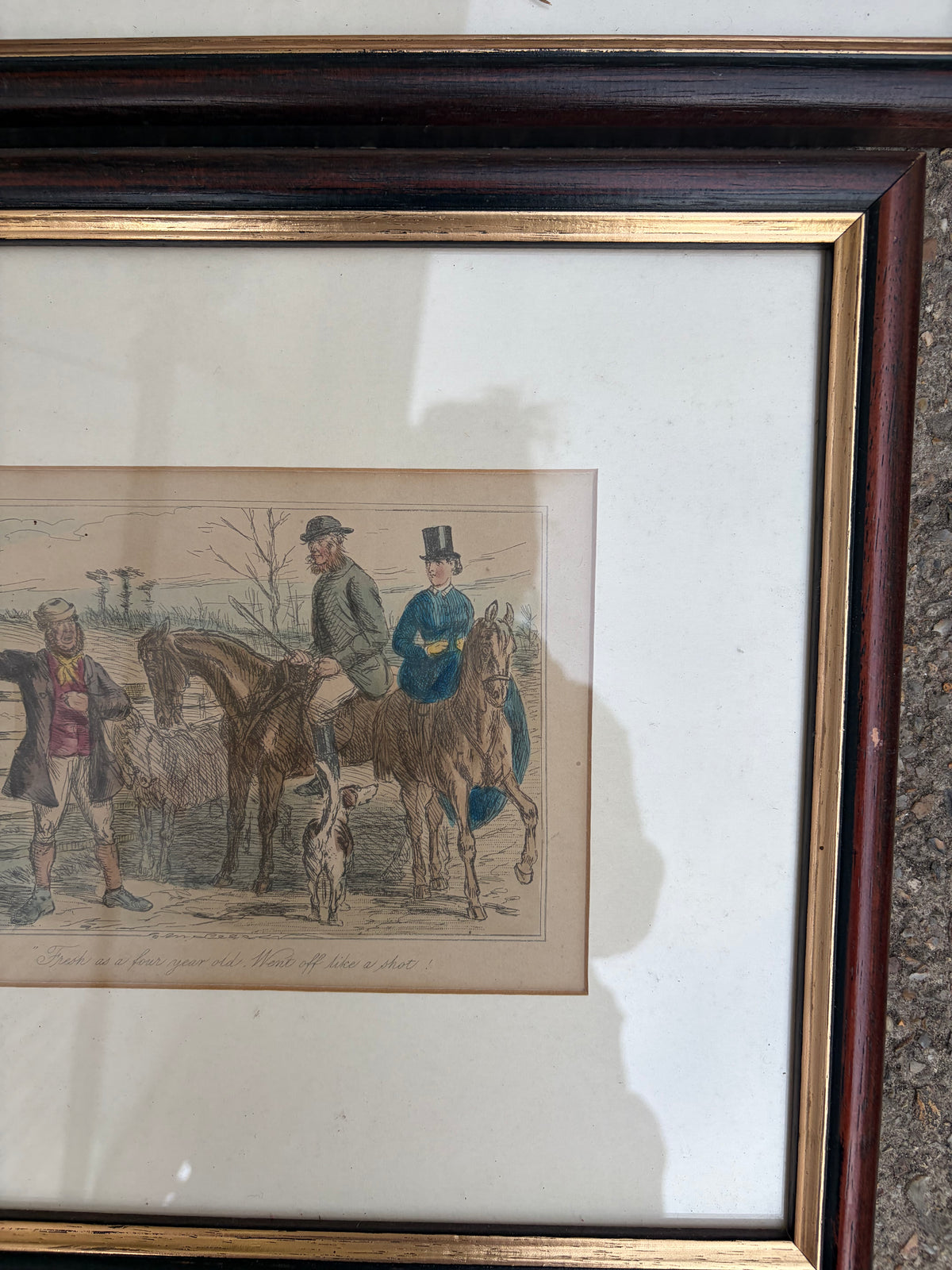 HORSE PICTURES