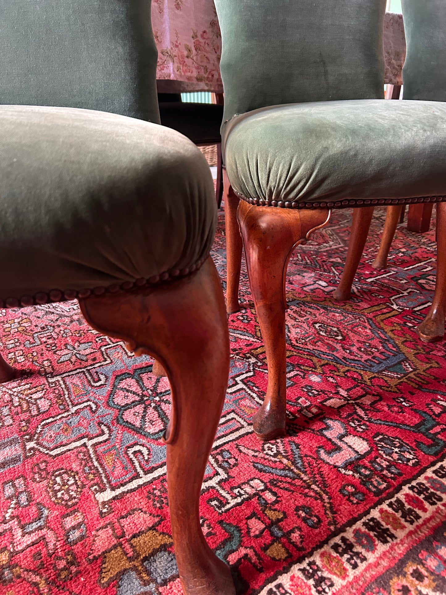 6 QUEEN ANNE CHAIRS