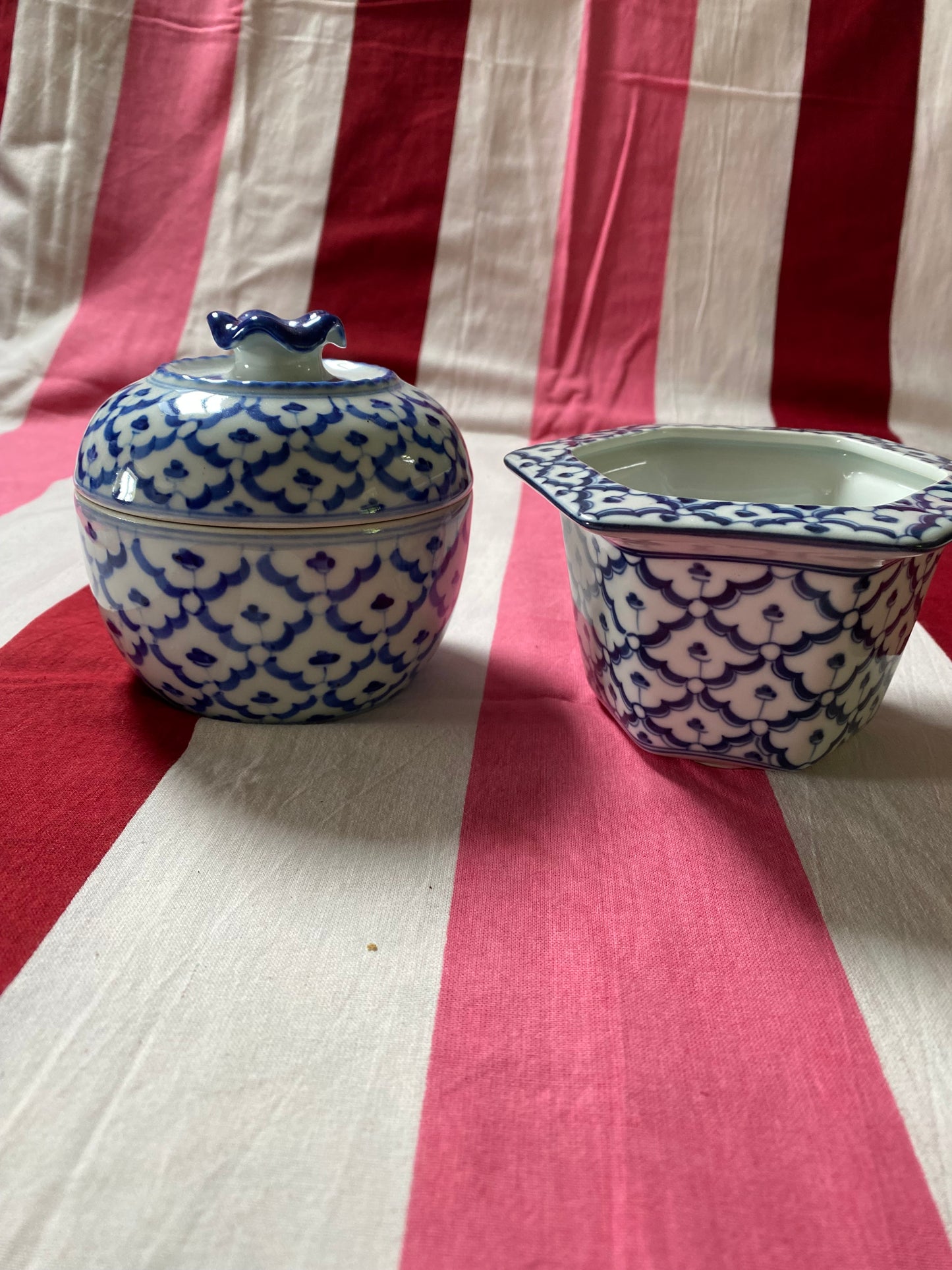 BLUE AND WHITE POTS