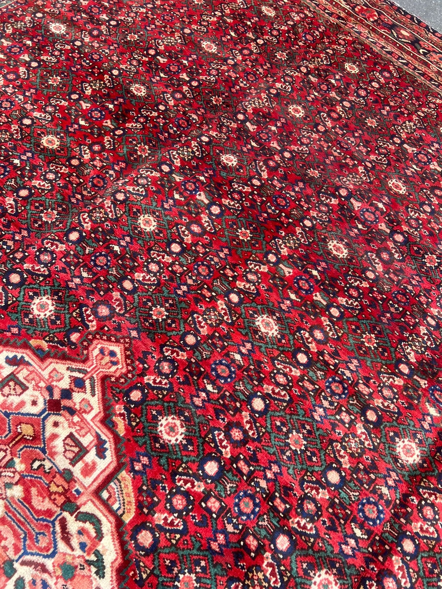 CARPET