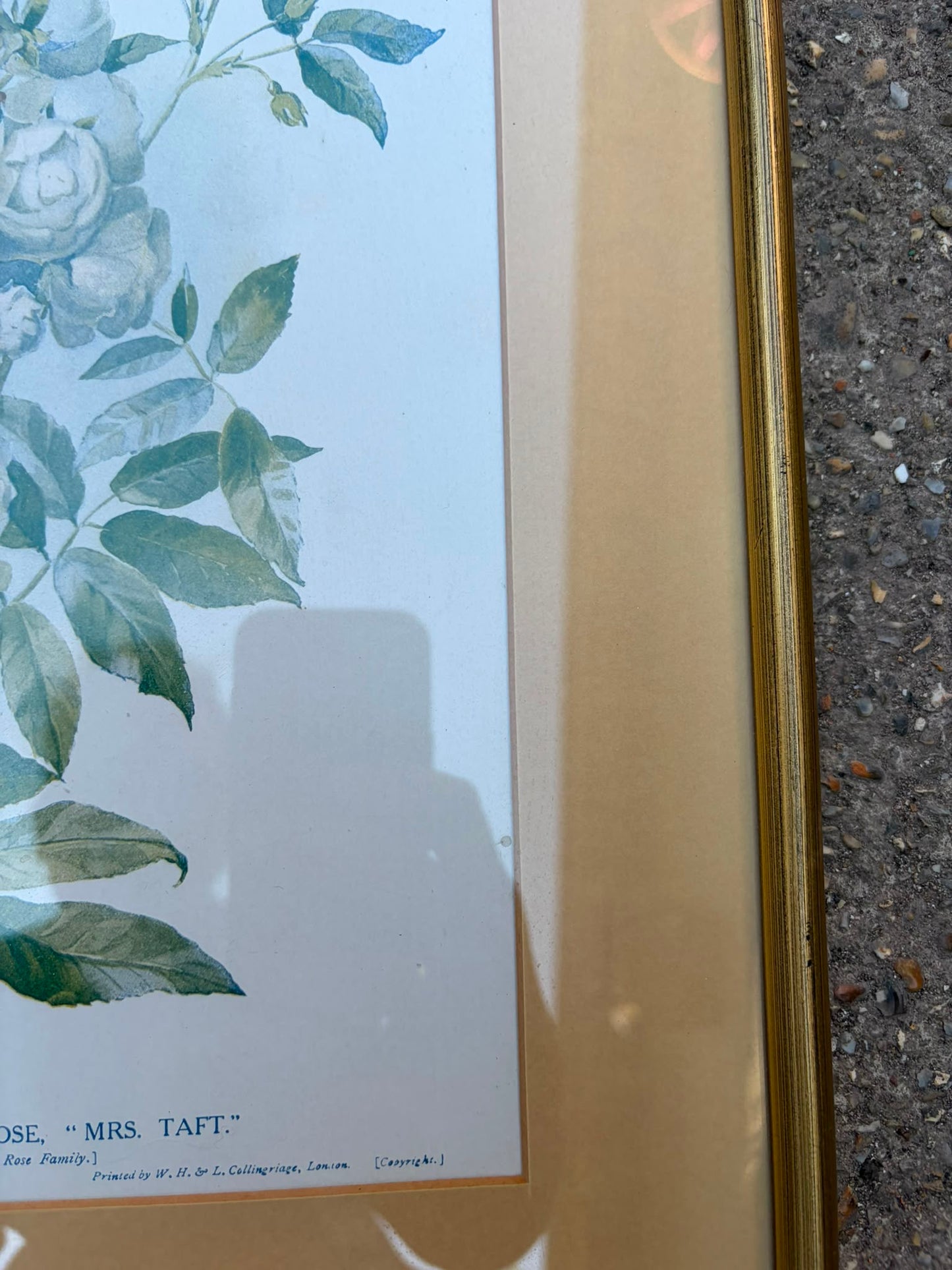 PRINTS