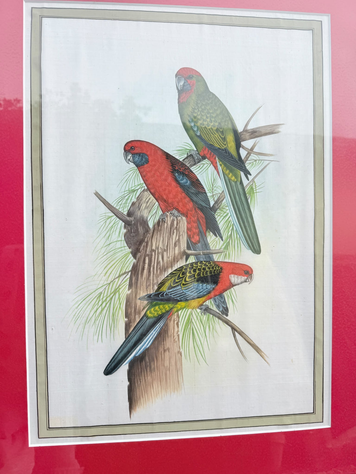 BIRD PRINTS