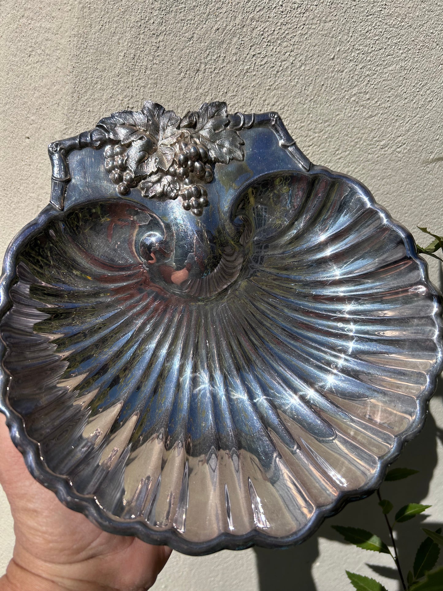 SHELL DISH