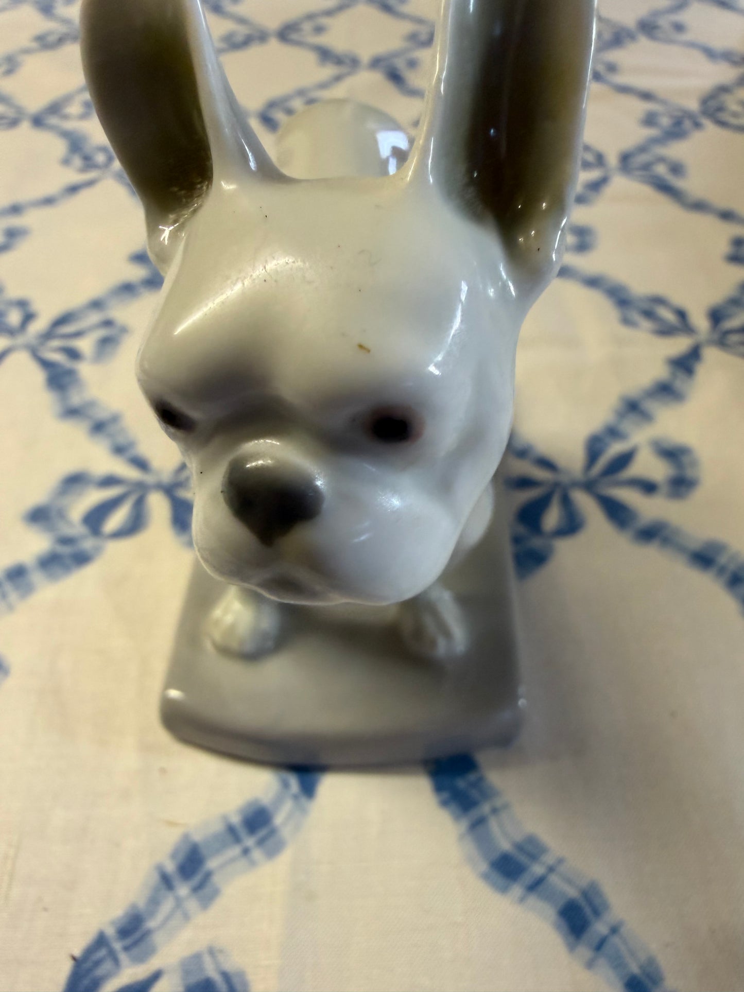 FRENCH BULLDOG