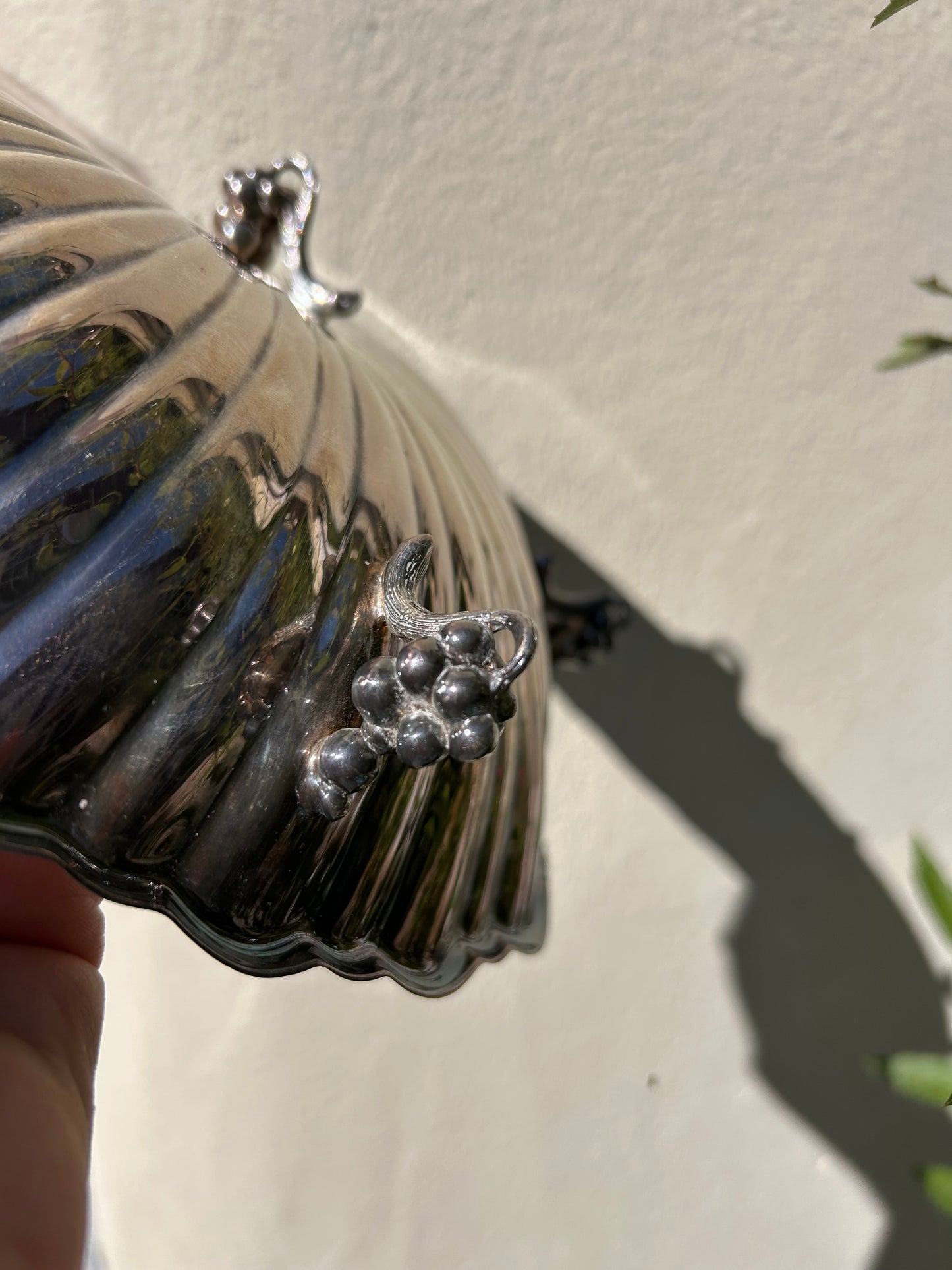 SHELL DISH