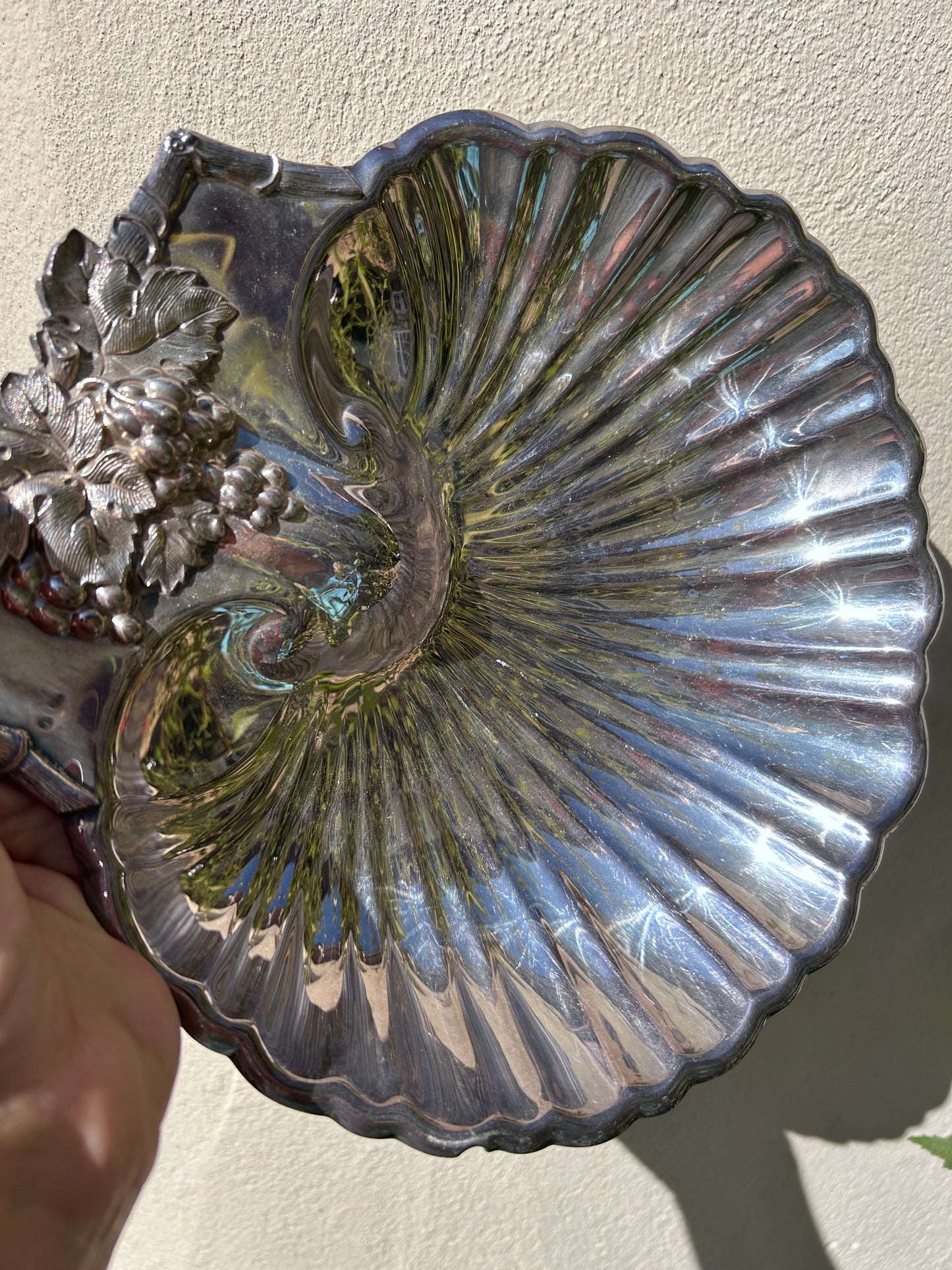SHELL DISH