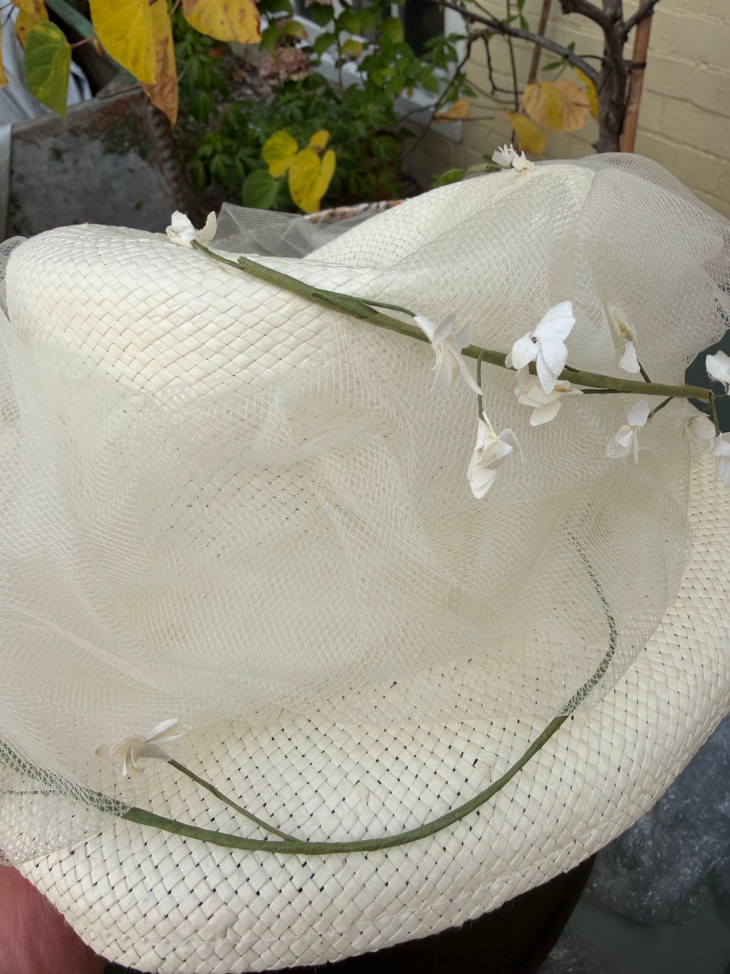 A BOX OF HATS