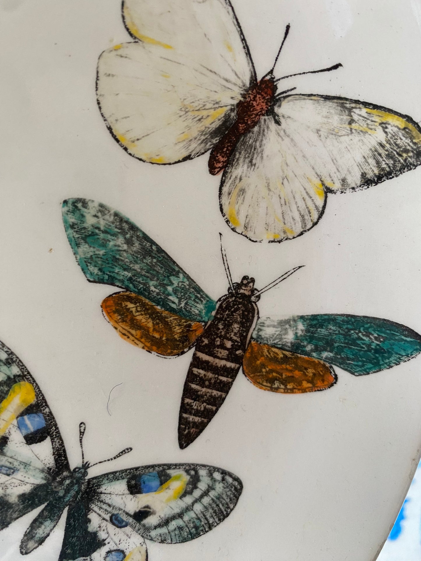 FORNASETTI PLATE