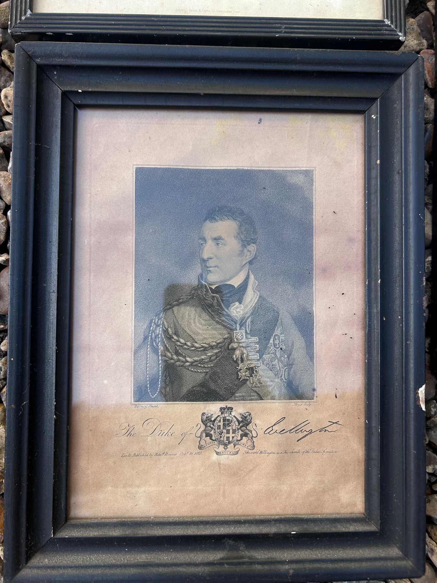 WELLINGTON PRINTS