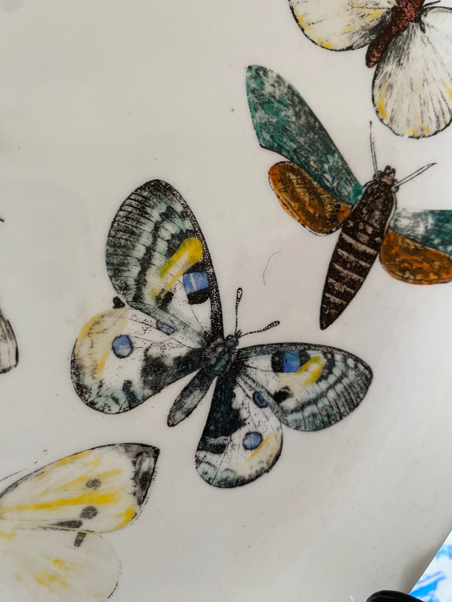 FORNASETTI PLATE
