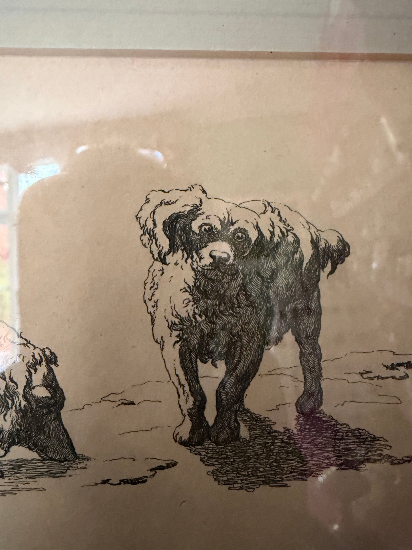 SILVER FRAME DOGS PRINT