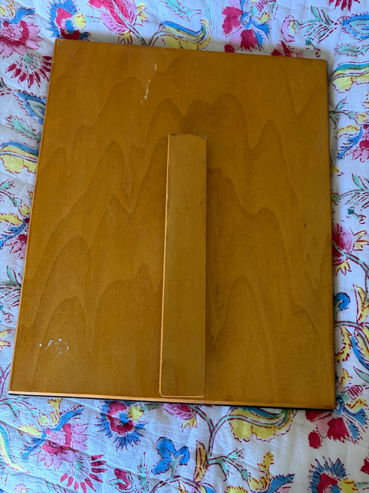 ANTIQUE MIRROR FRAME