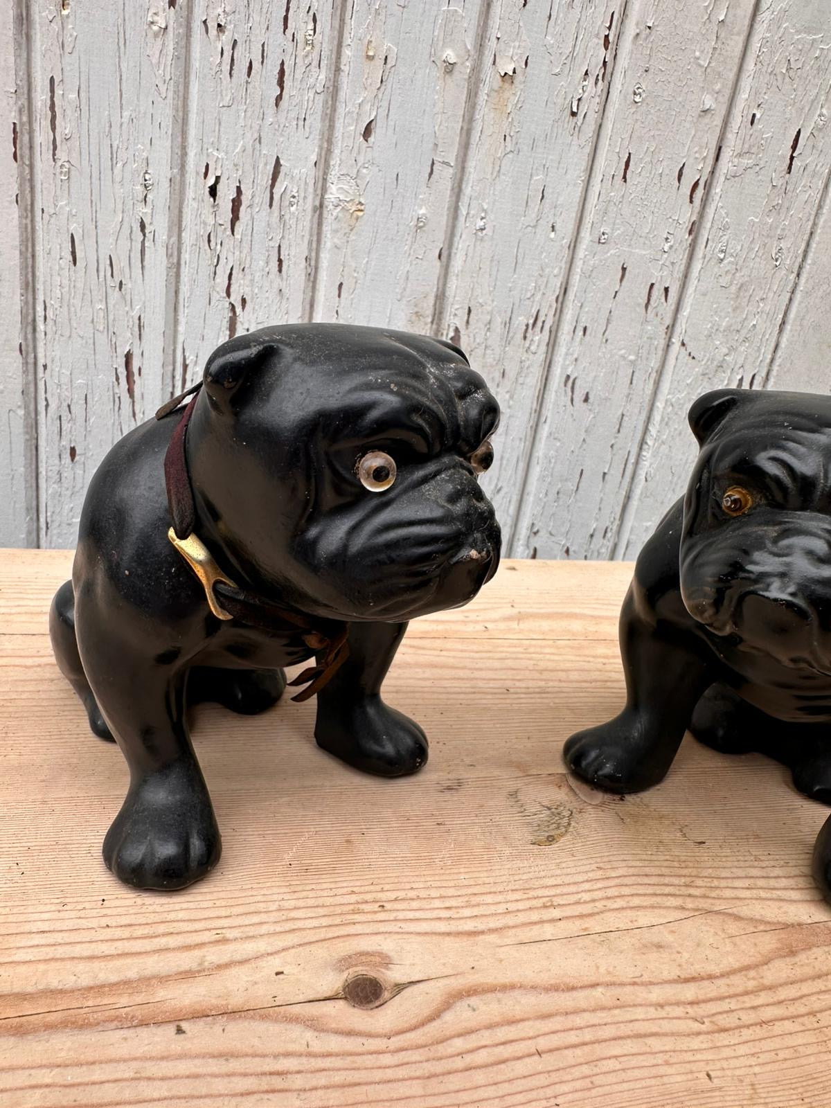 BULLDOGS