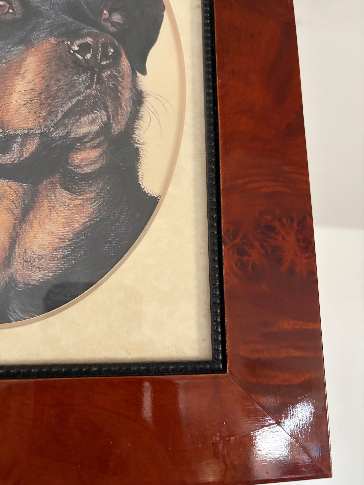 PORTRAIT OF A DOG