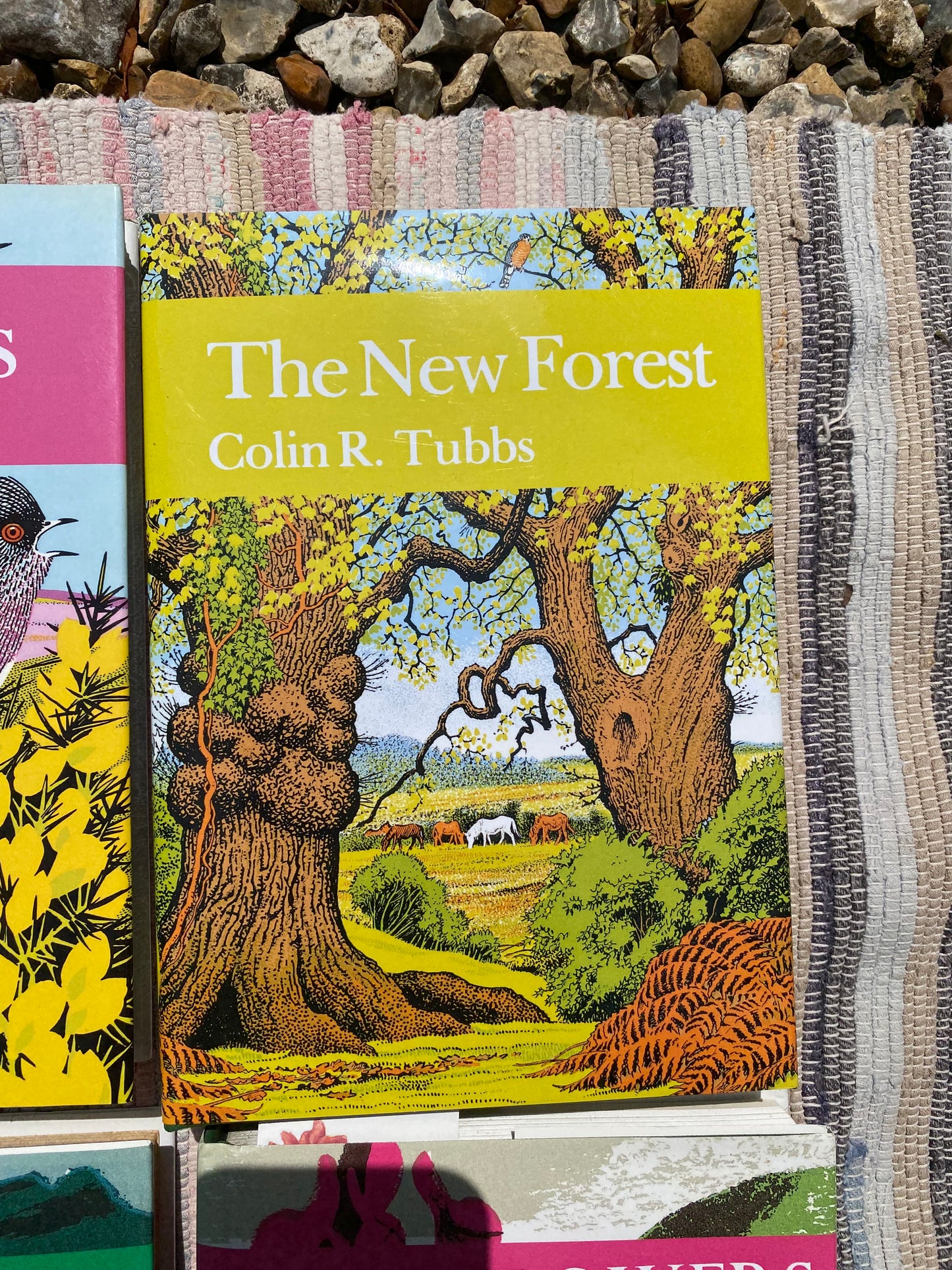 SET OF BOOKS