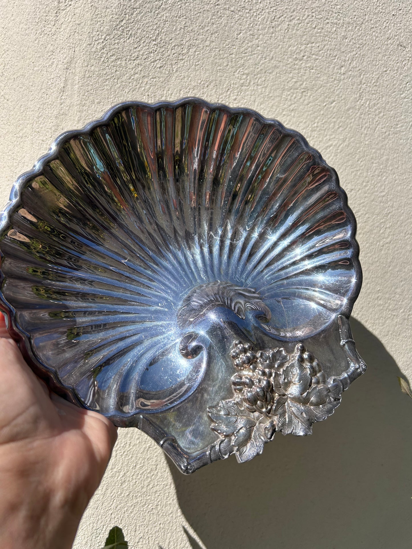 SHELL DISH