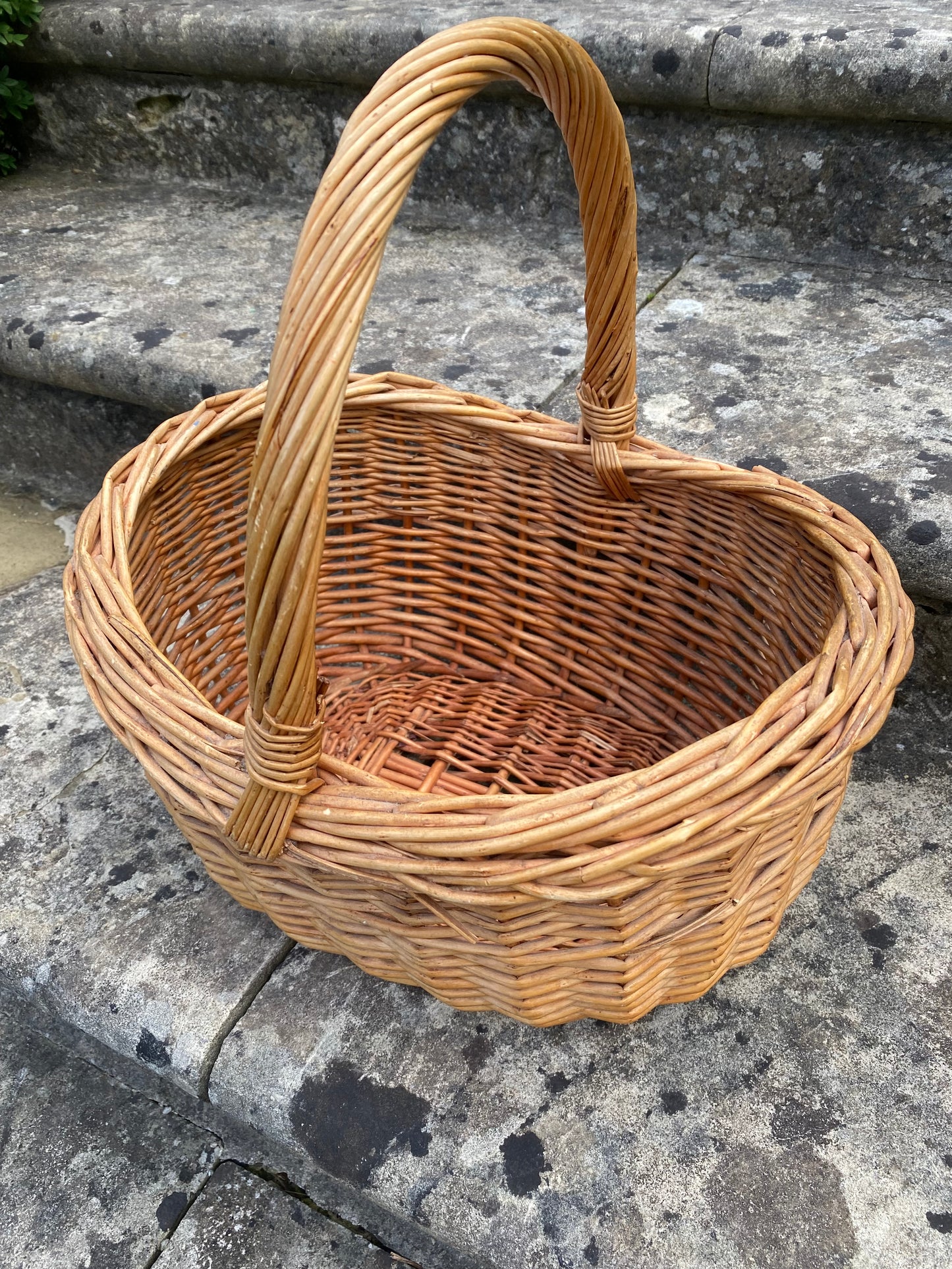 BASKET