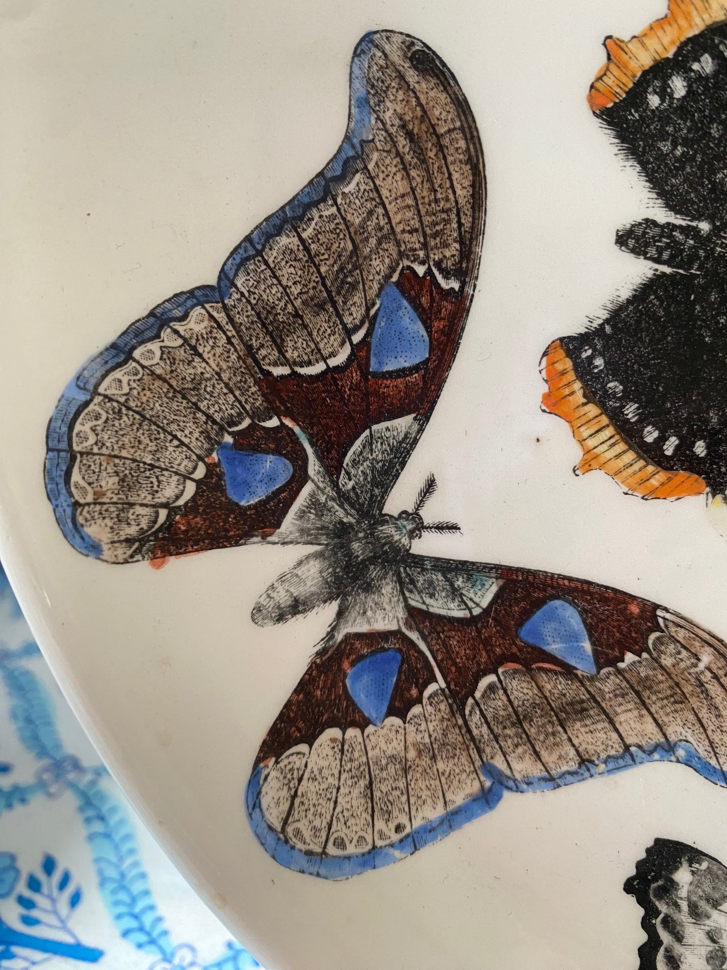 FORNASETTI PLATE