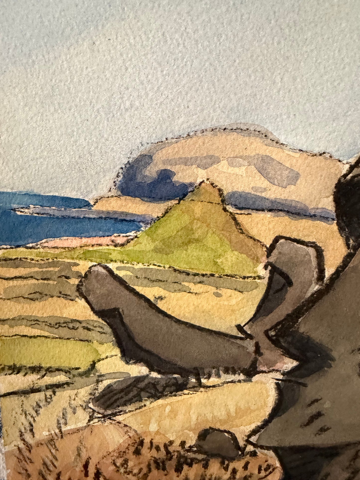 MILLINGTON DRAKE WATERCOLOUR