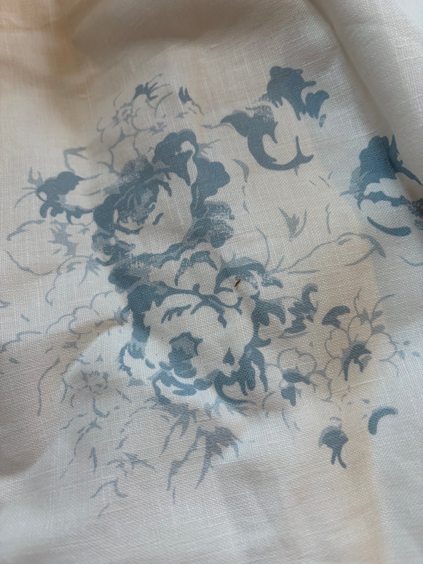 CABBAGES AND ROSES