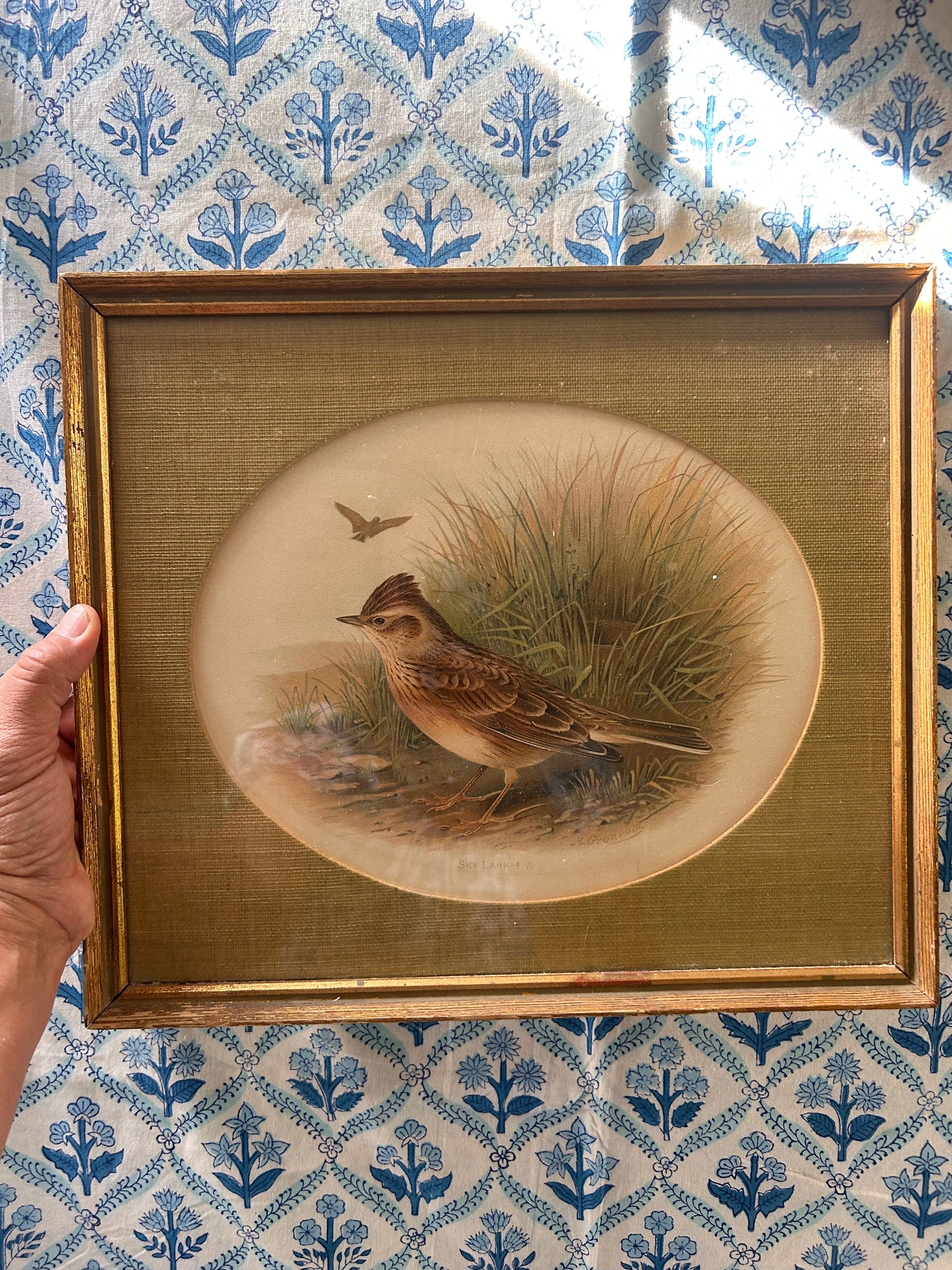 BIRD PRINT
