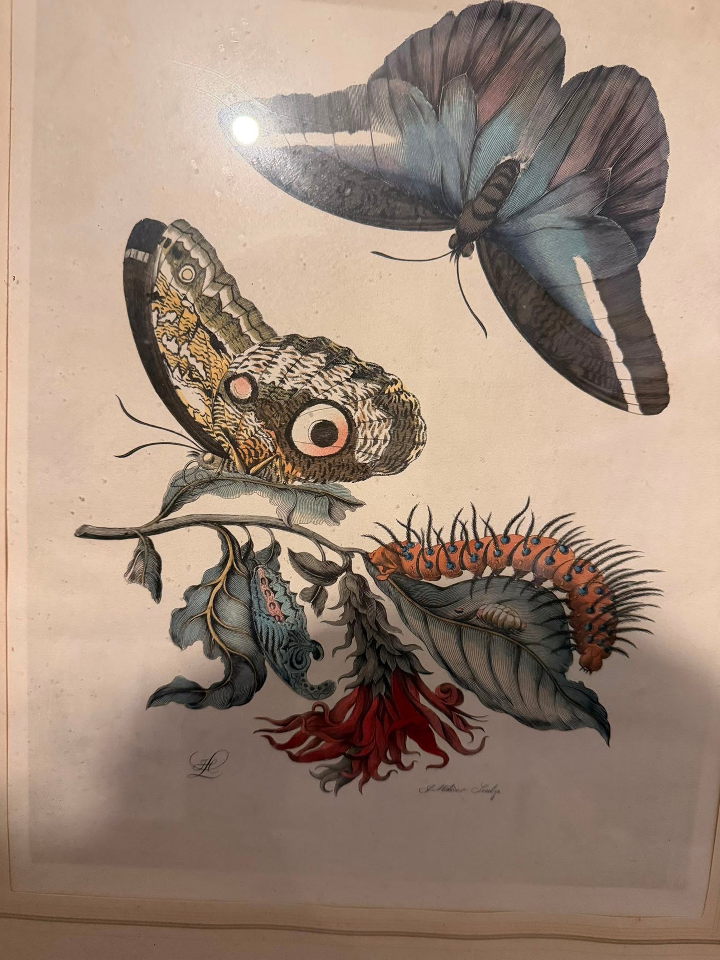 PAIR OF PRINTS