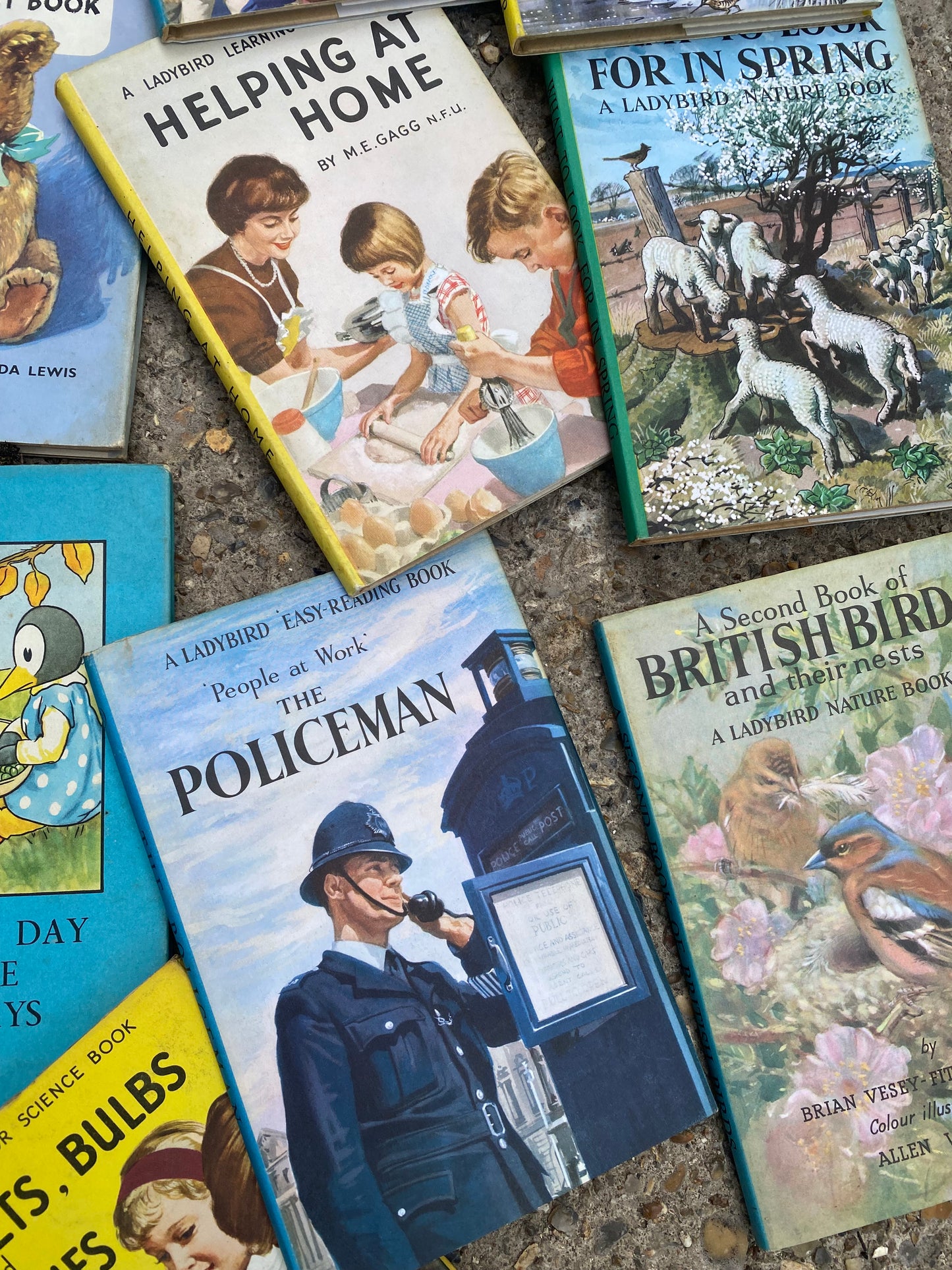 LADYBIRD BOOKS