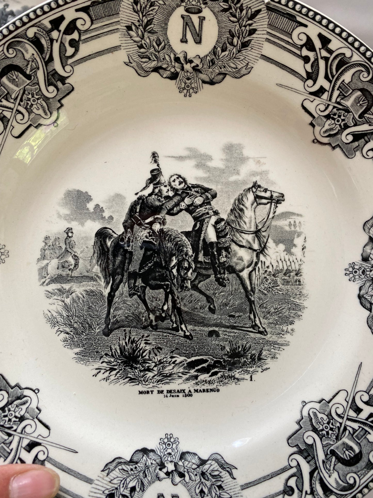 NAPOLEONS BATTLES