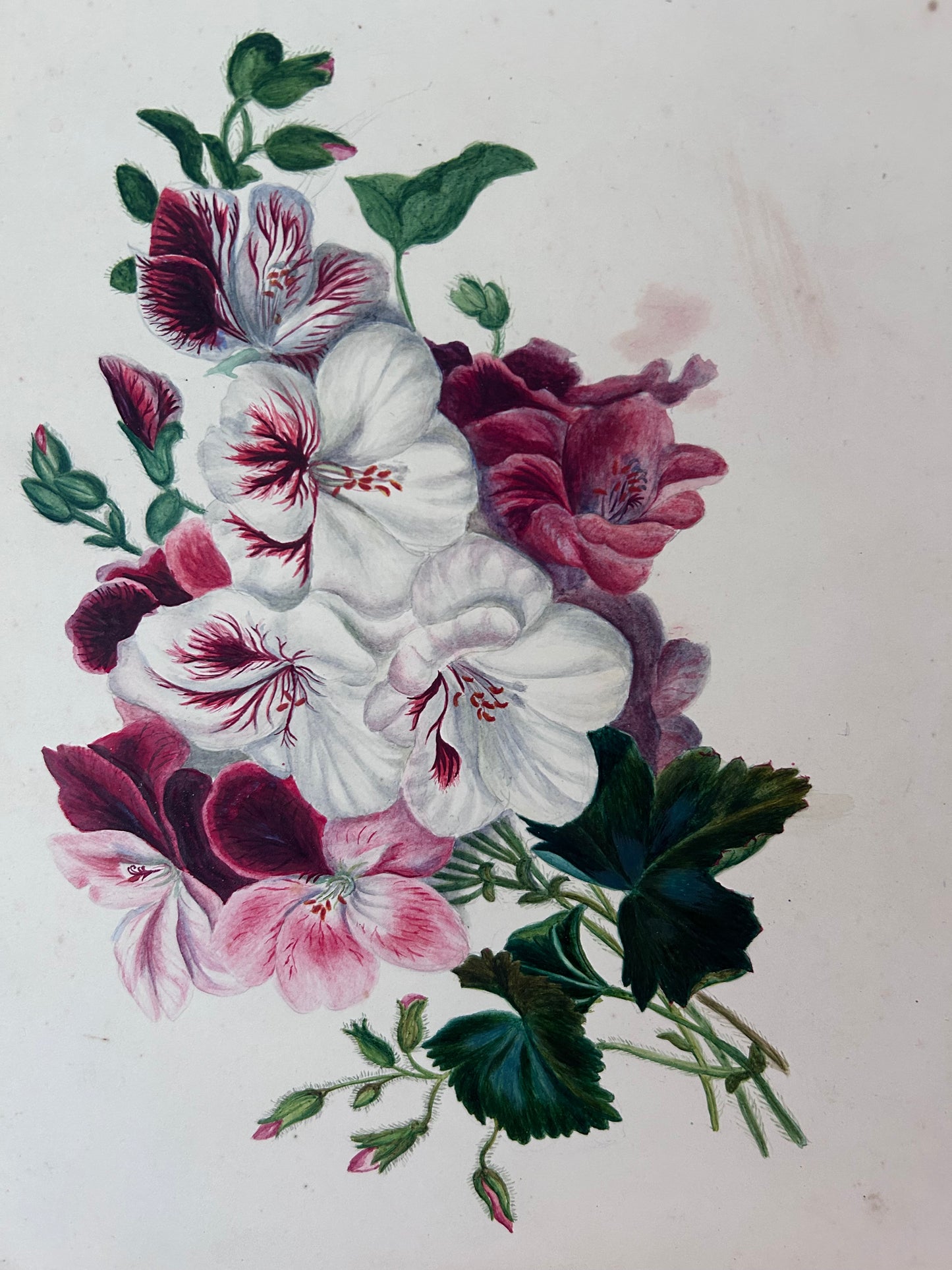 WATERCOLOUR 1870