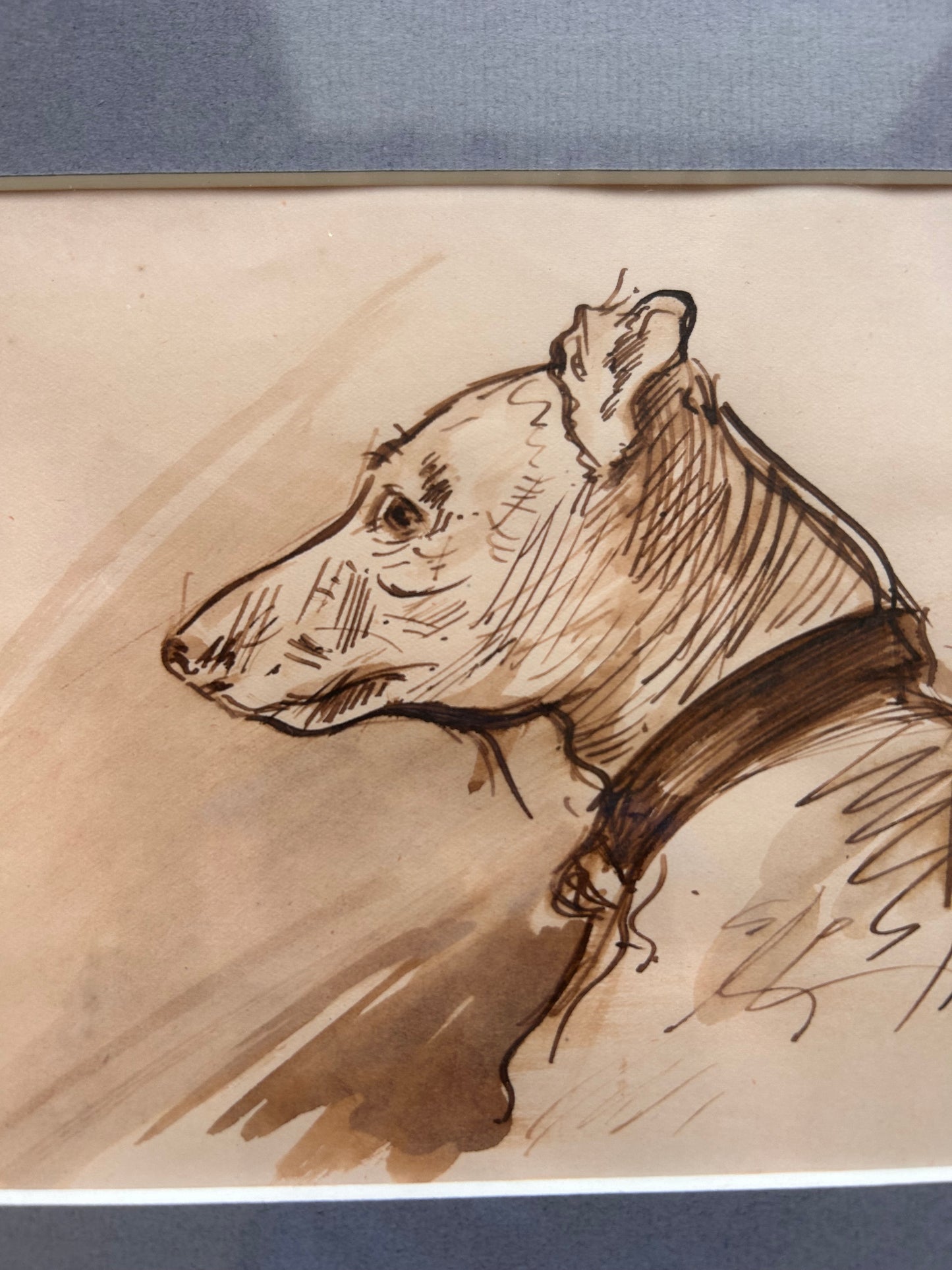 DRAWING OF A DOG