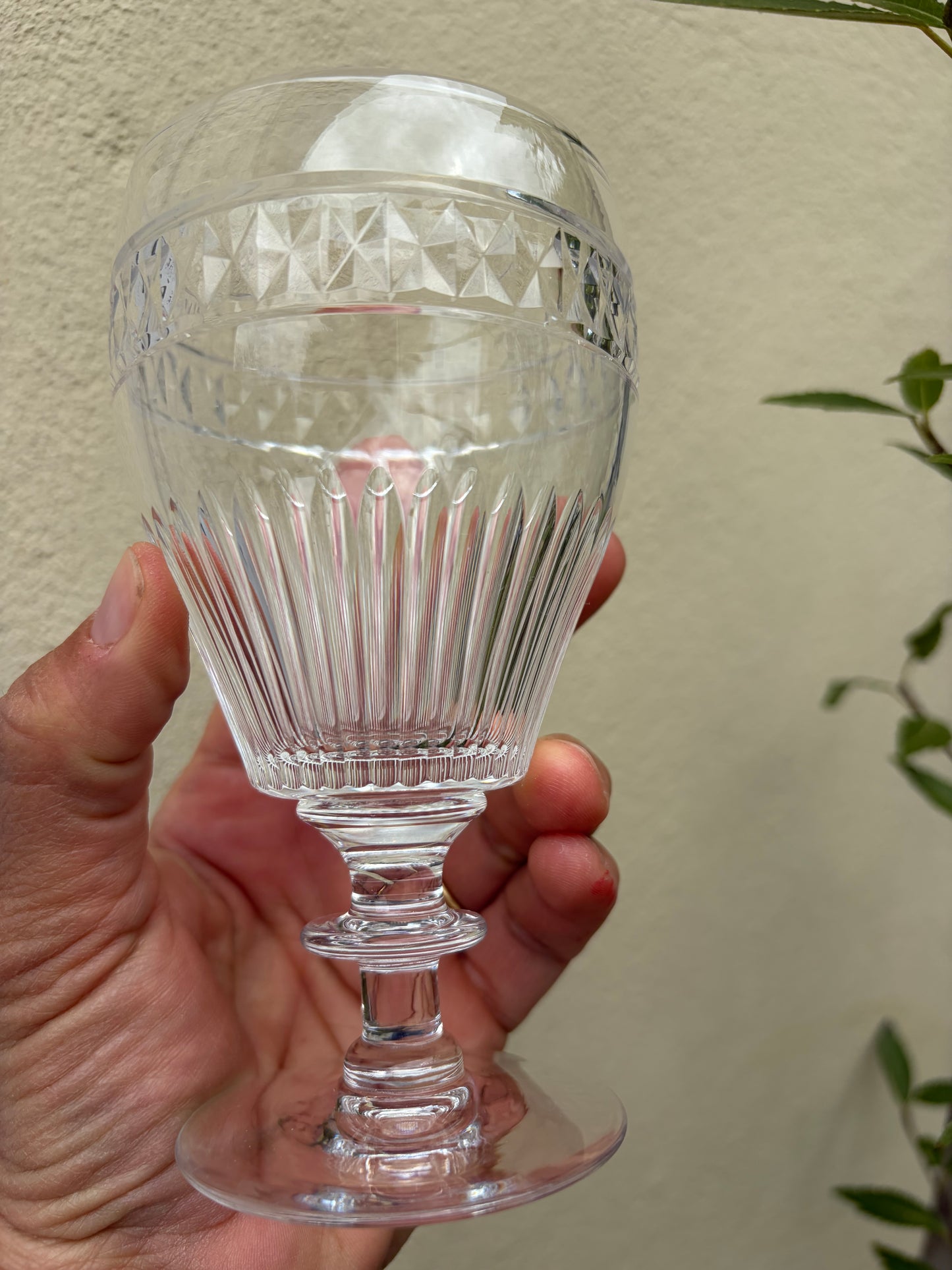 5 WINE GLASSES