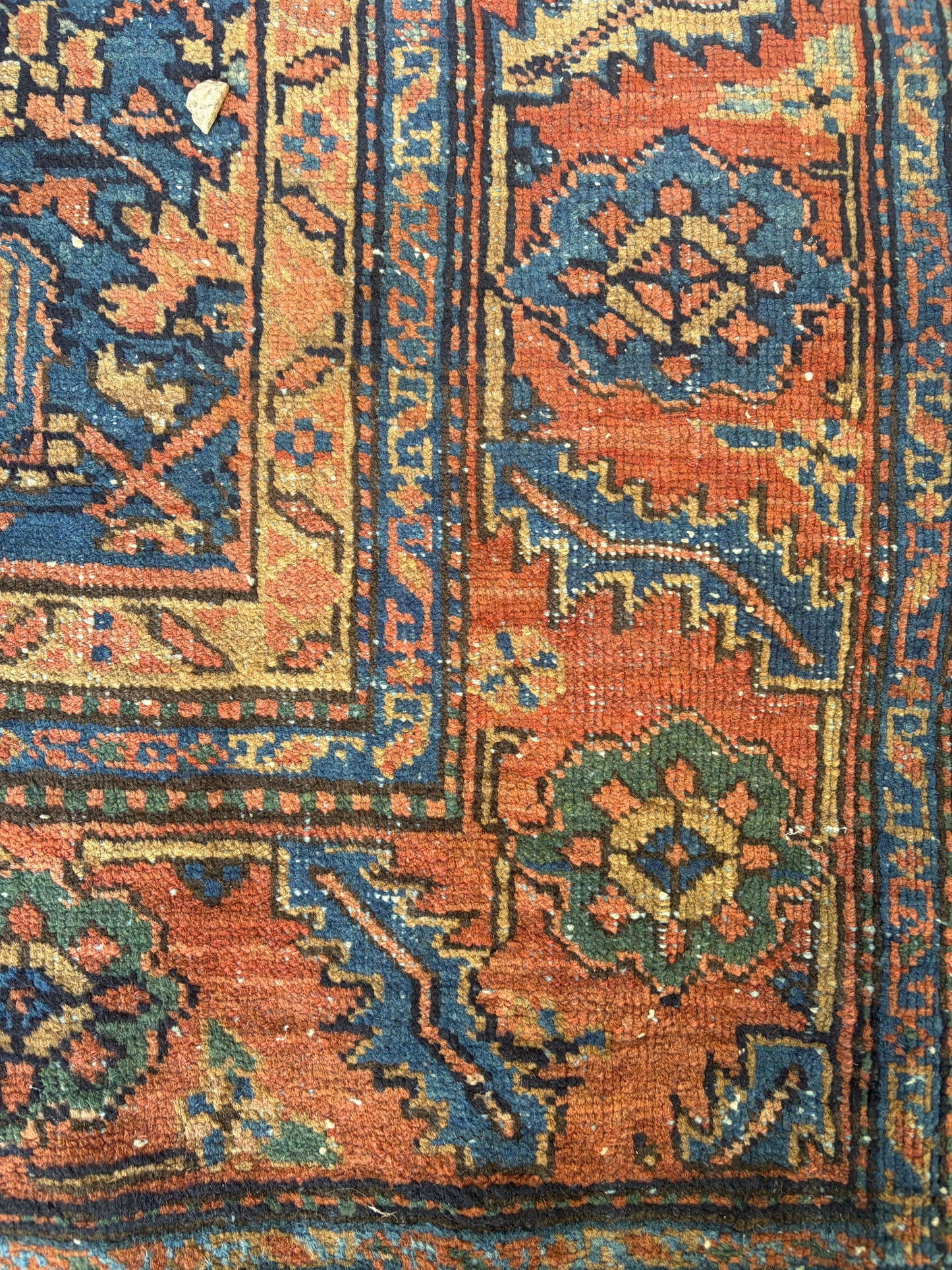 CARPET