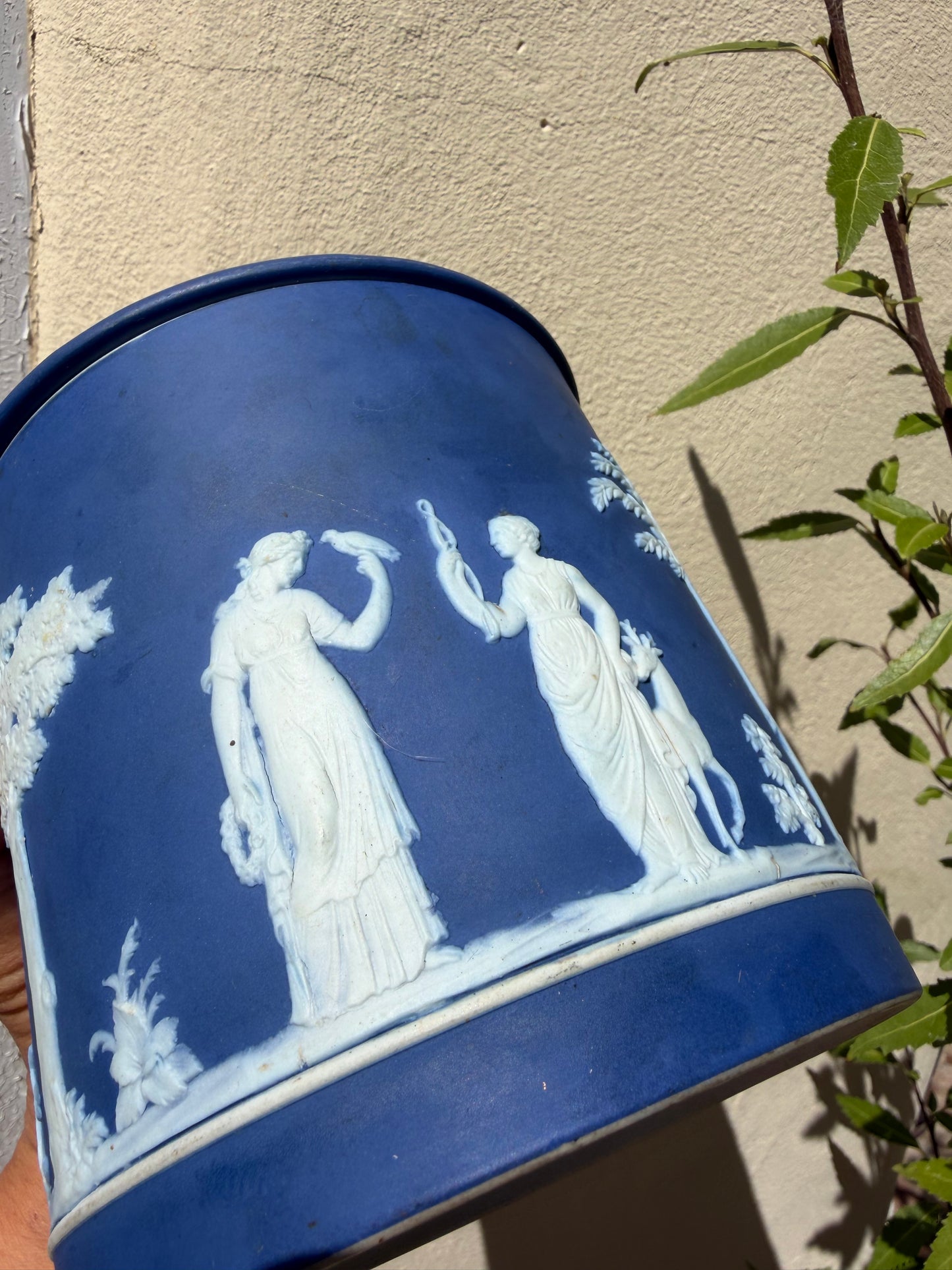 WEDGWOOD POT