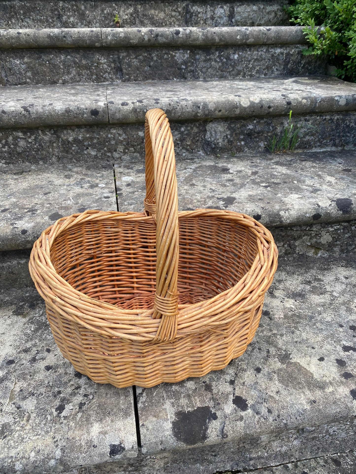 BASKET