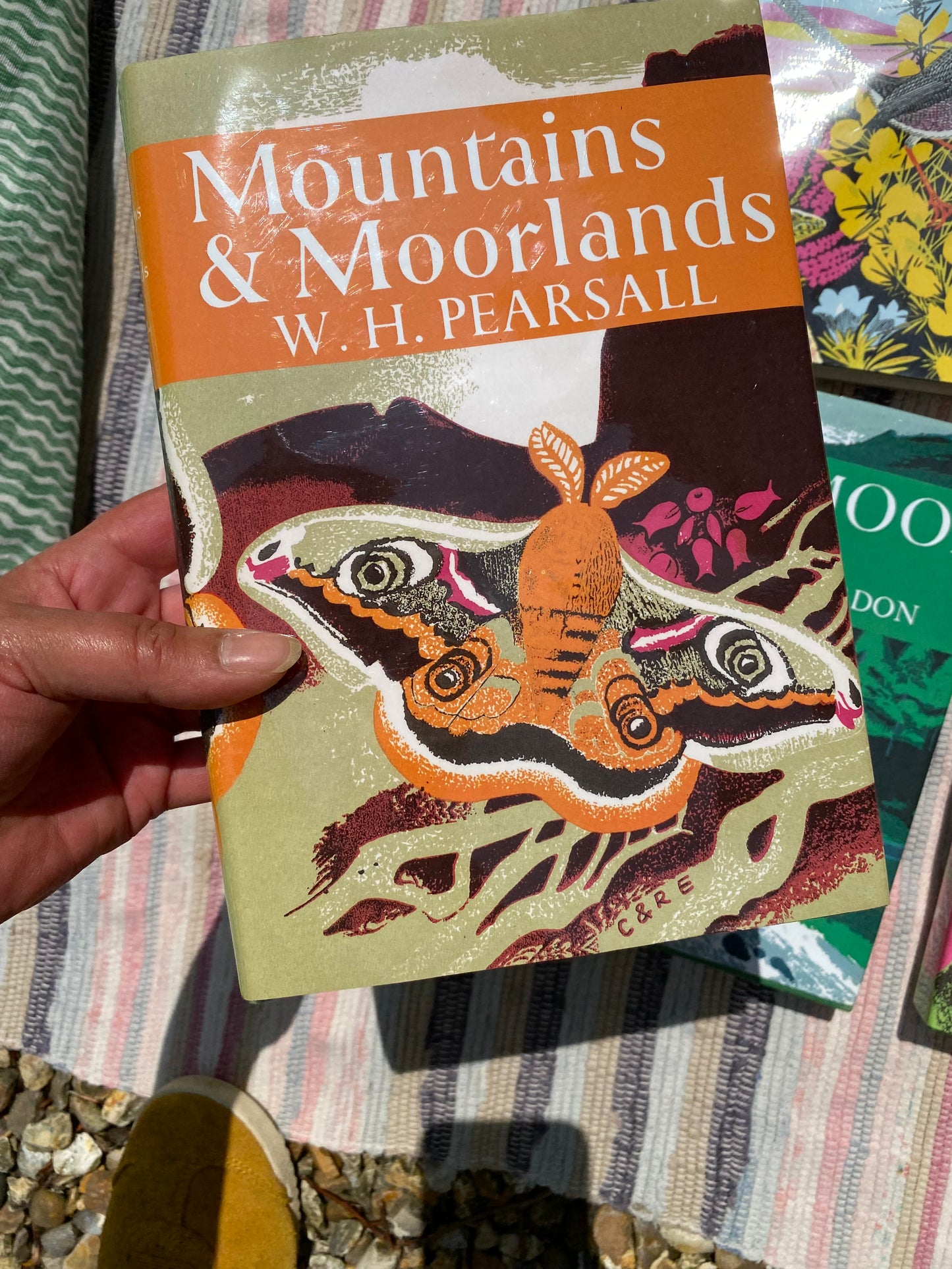 SET OF BOOKS