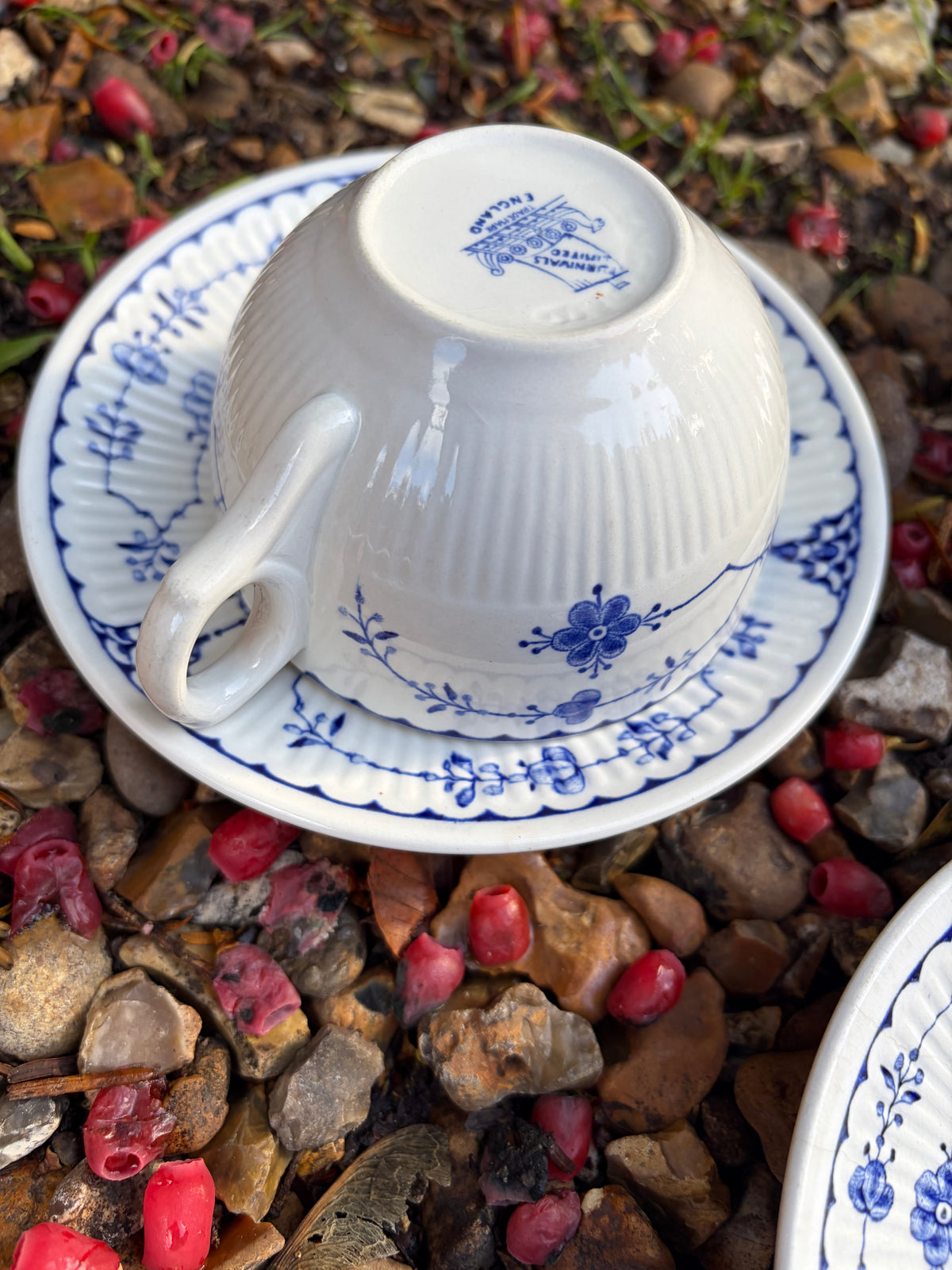 DENMARK CUPS