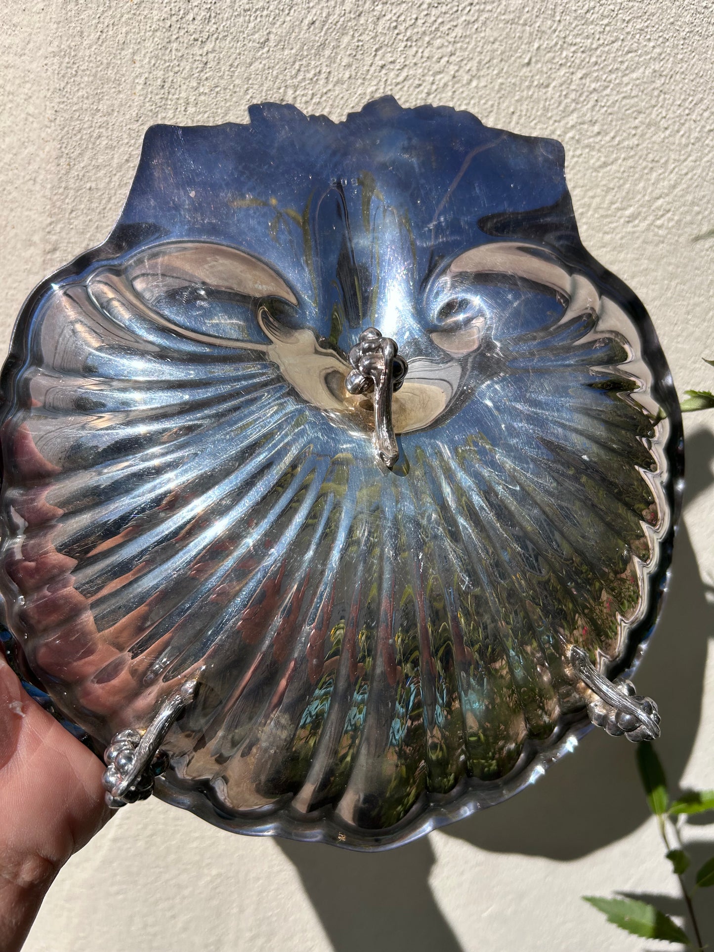 SHELL DISH