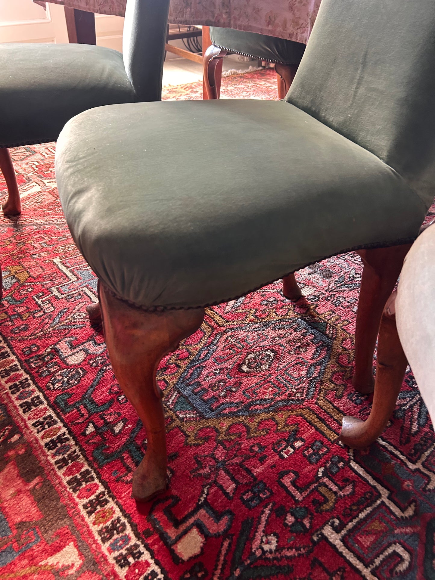 6 QUEEN ANNE CHAIRS