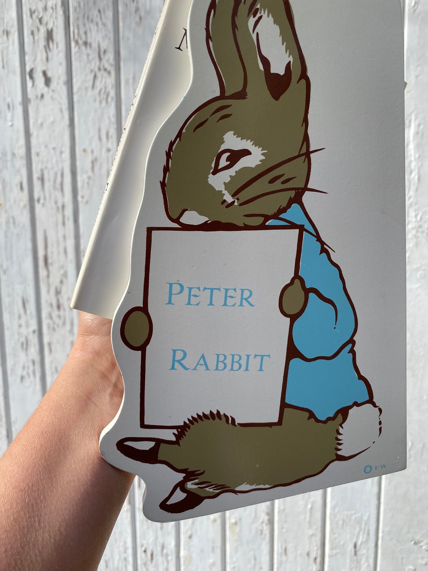 POTTER BOOKS AND SHELF