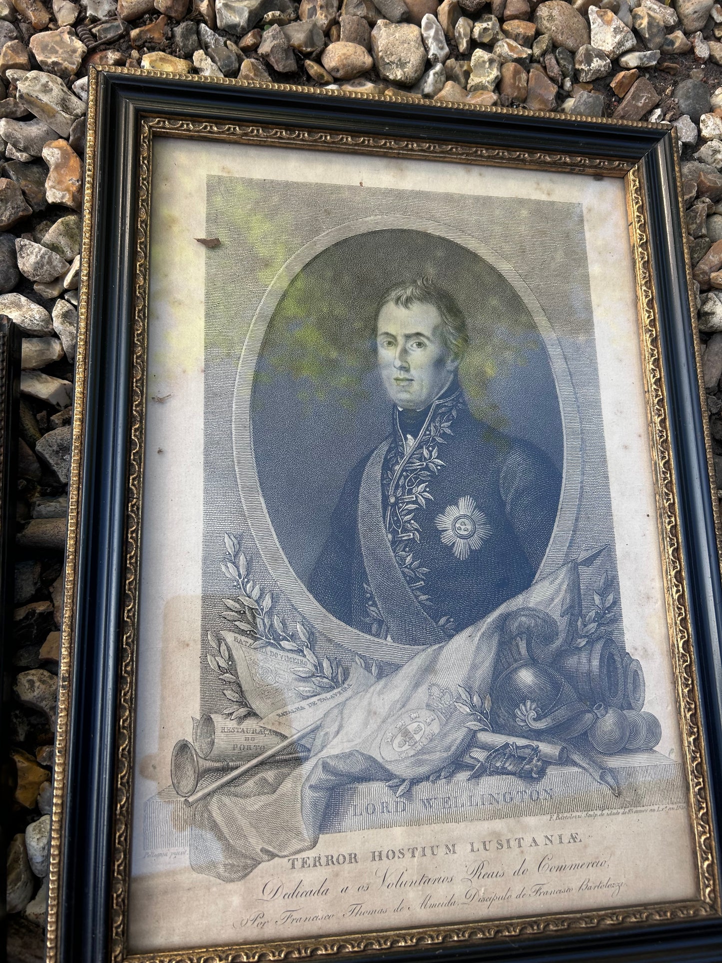 WELLINGTON PRINTS