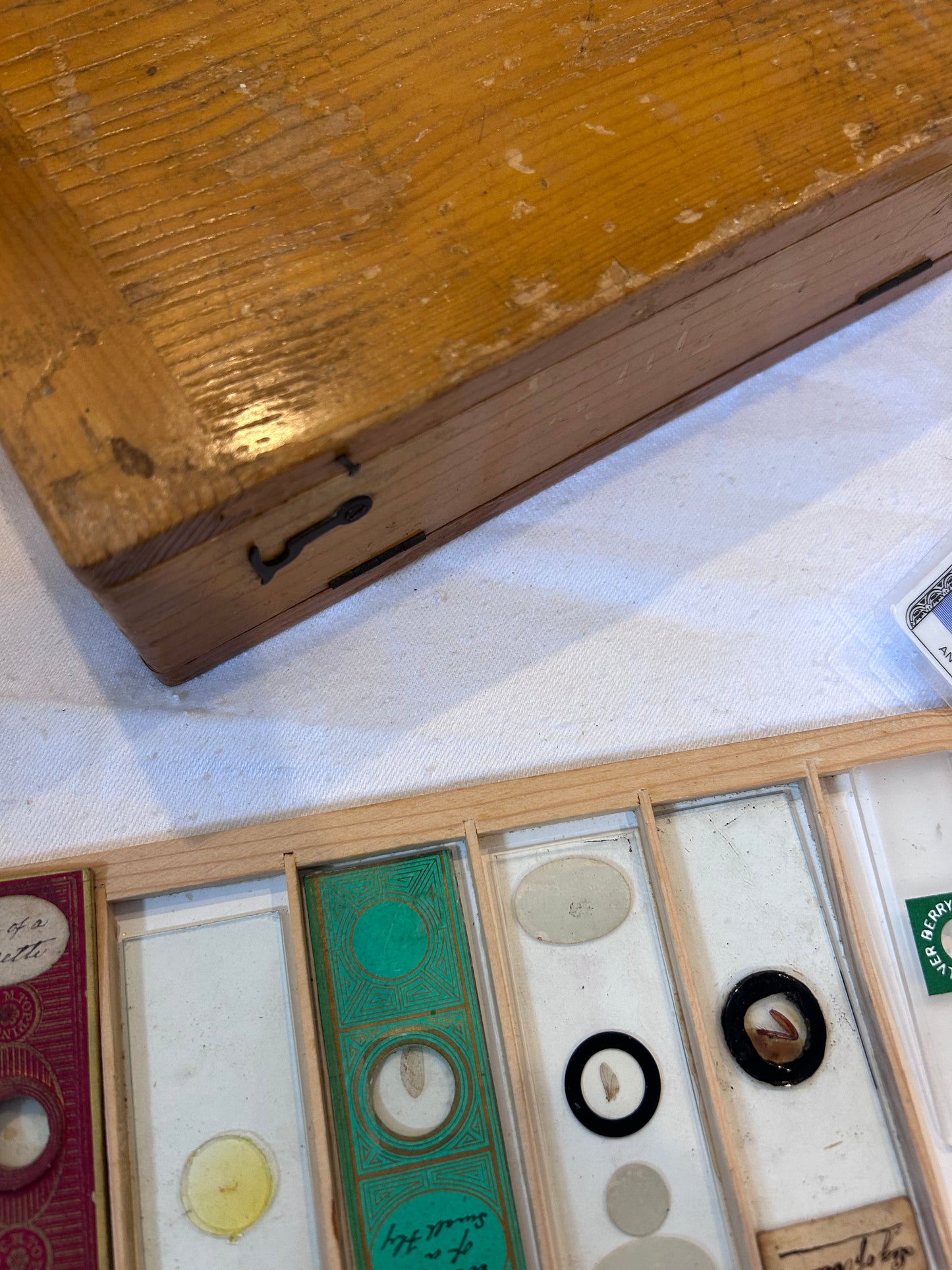 MICROSCOPIC BOX