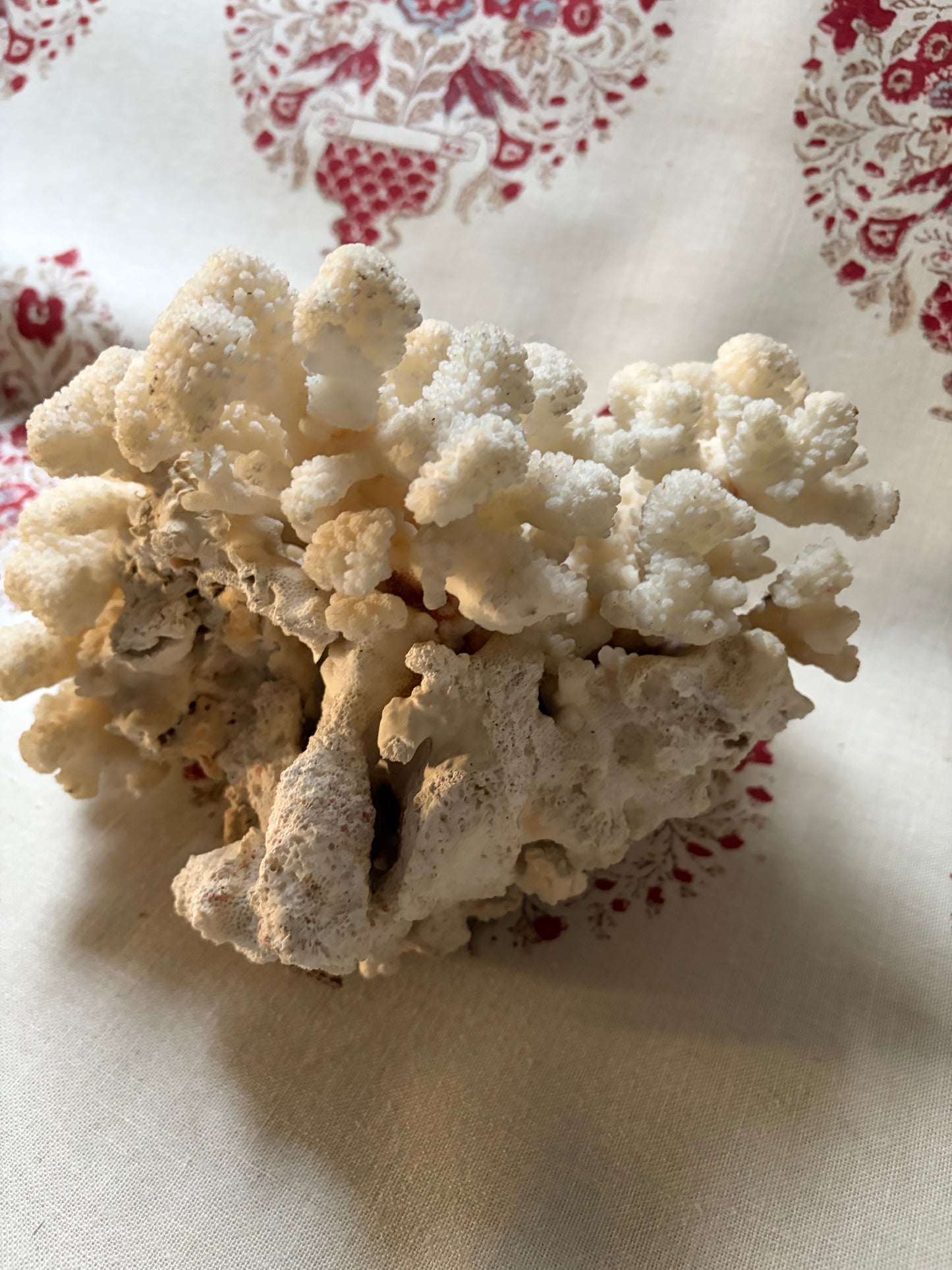 CORAL