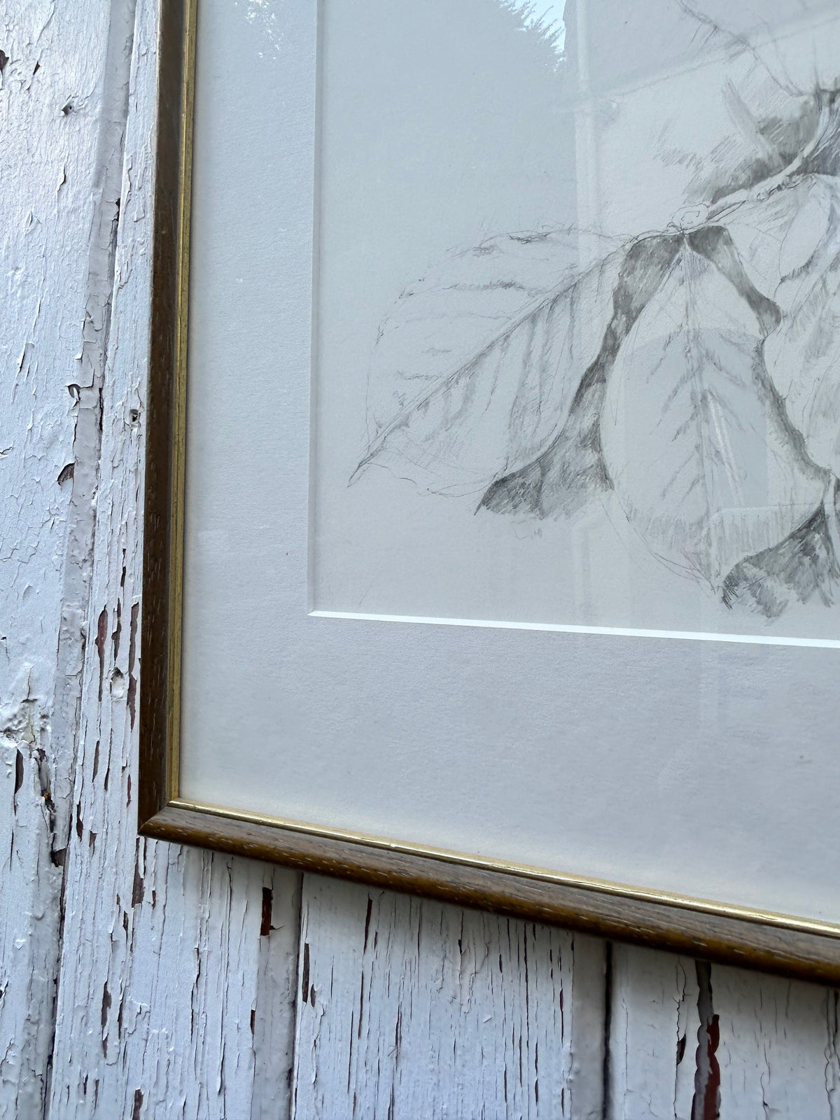 OAK LEAVES DRAWING