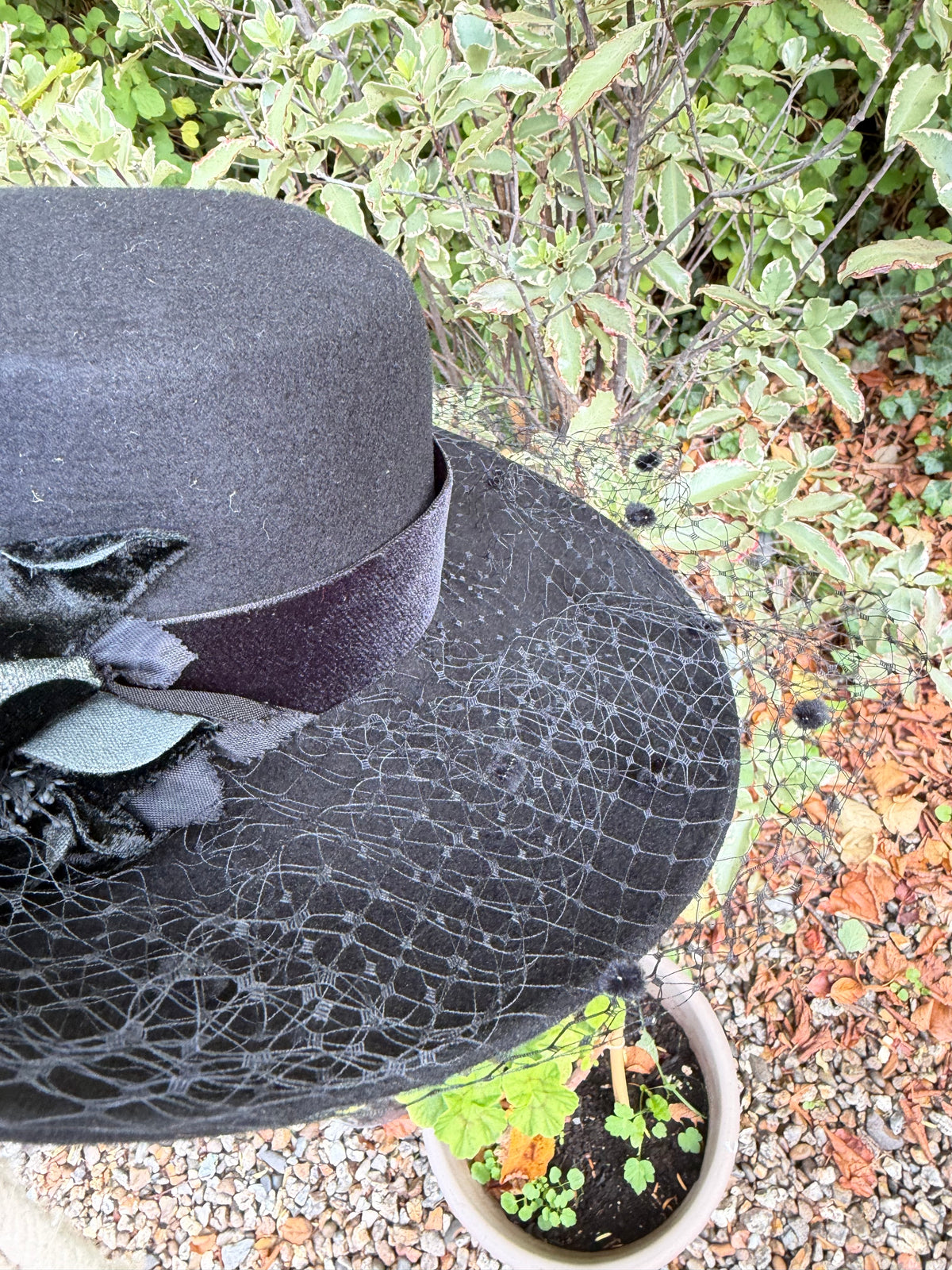 HAT