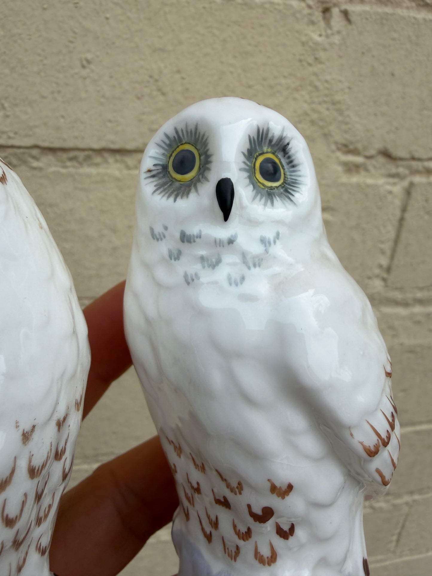 TWO OWLS