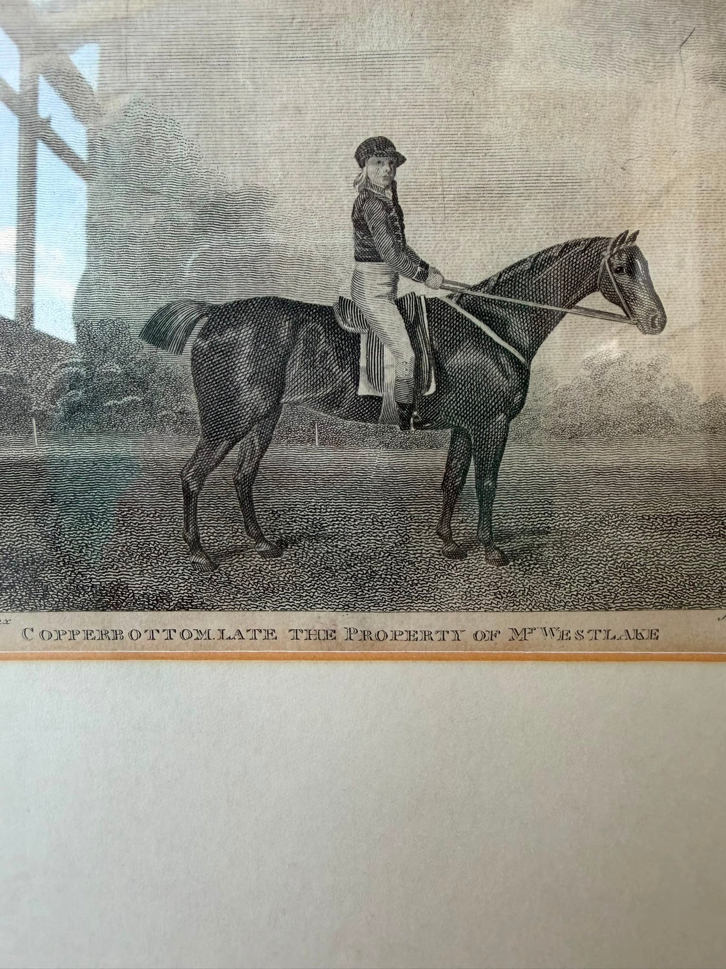 HORSE PRINT