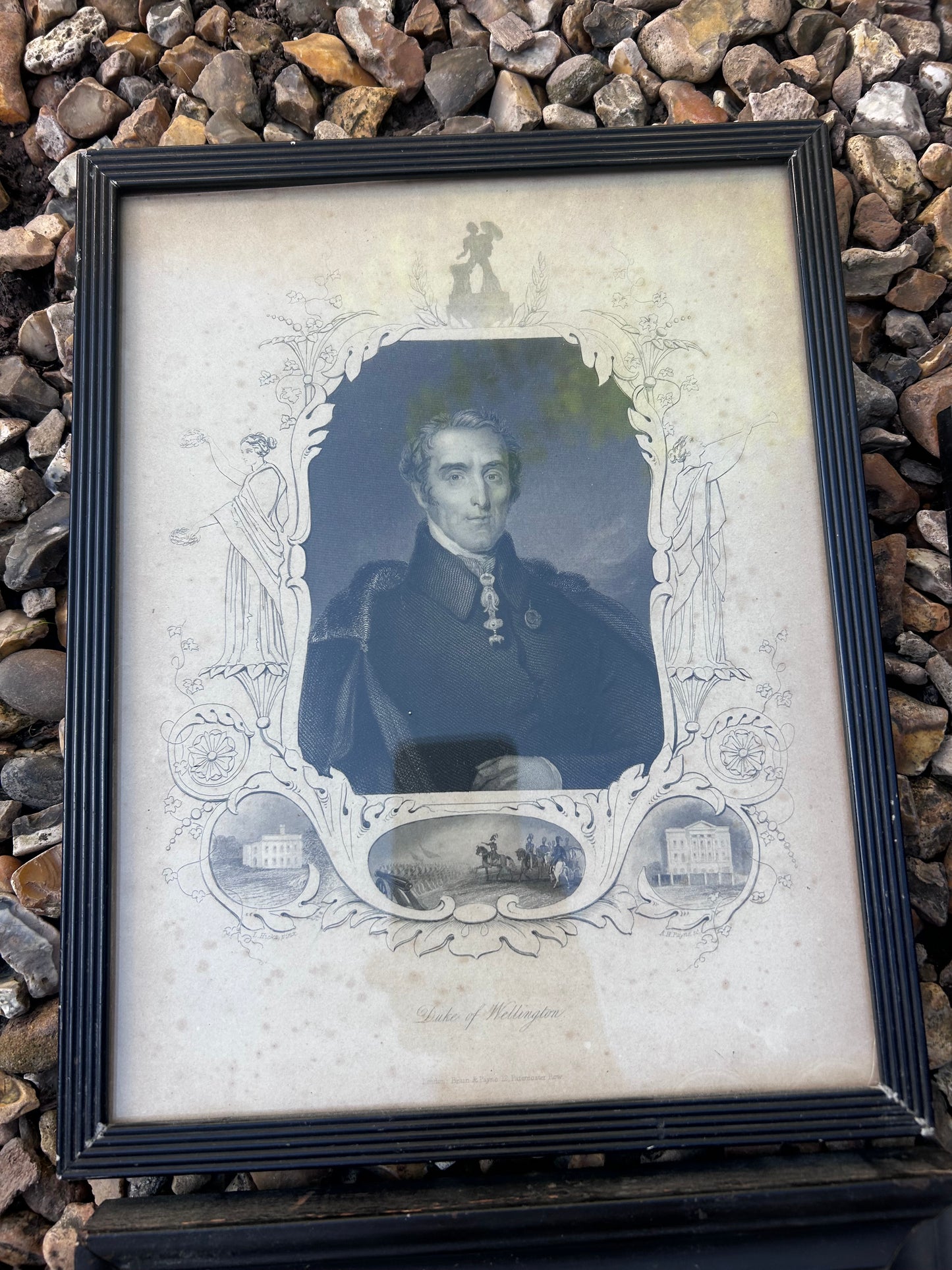 WELLINGTON PRINTS