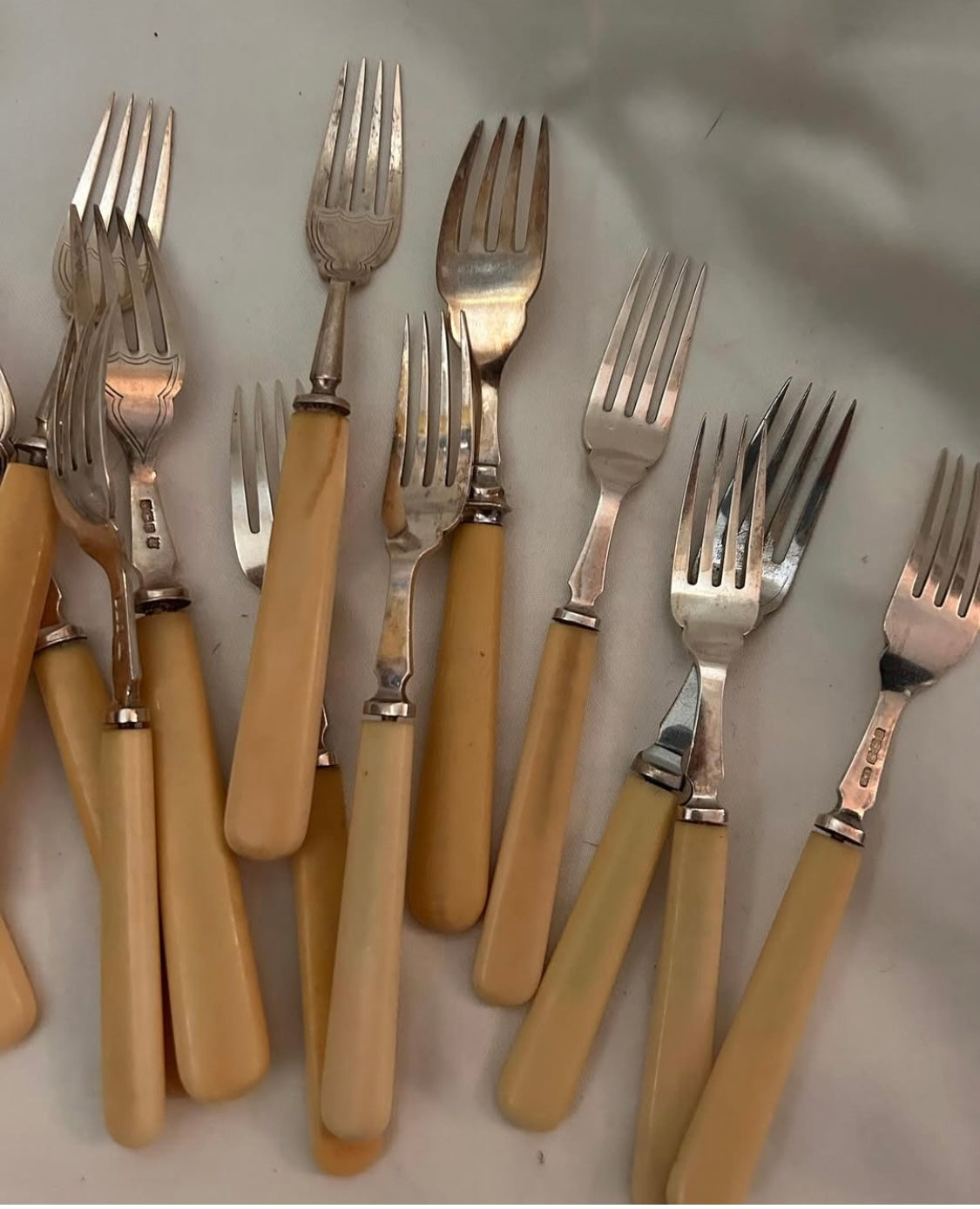 SILVER, BONE HANDLES