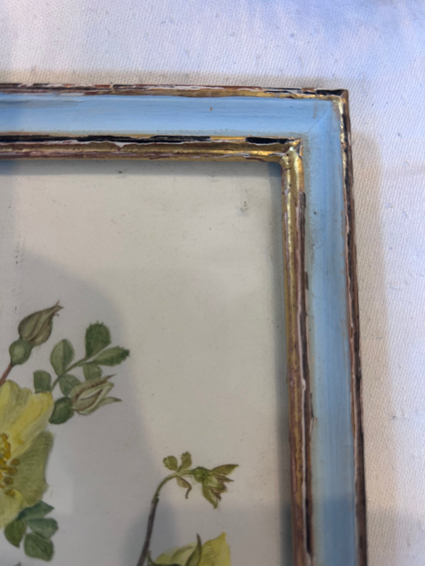 PRINT IN FRAME